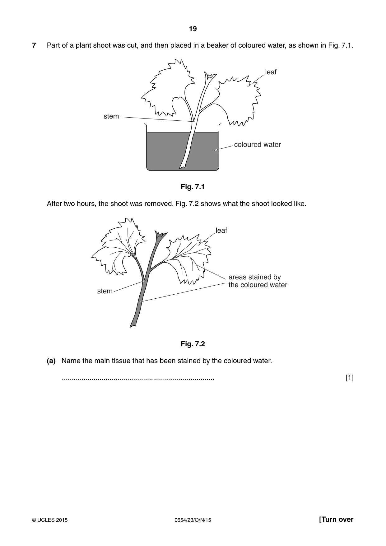 Cambridge IGCSE Sciences - Co-ordinated (Double) 0654 2015 Oct/Nov Paper 2 · Variant 3 question paper, page 19 of 32