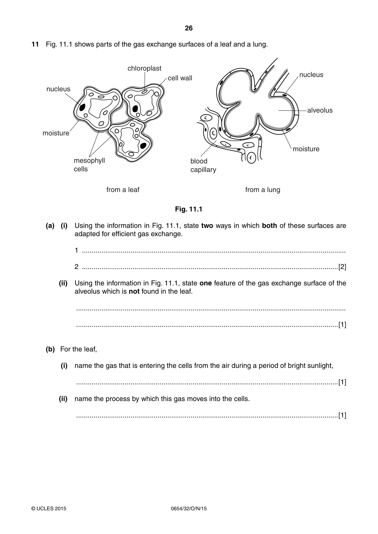 Cambridge IGCSE Sciences - Co-ordinated (Double) 0654 2015 Oct/Nov Paper 3 · Variant 2 question paper, page 26 of 32