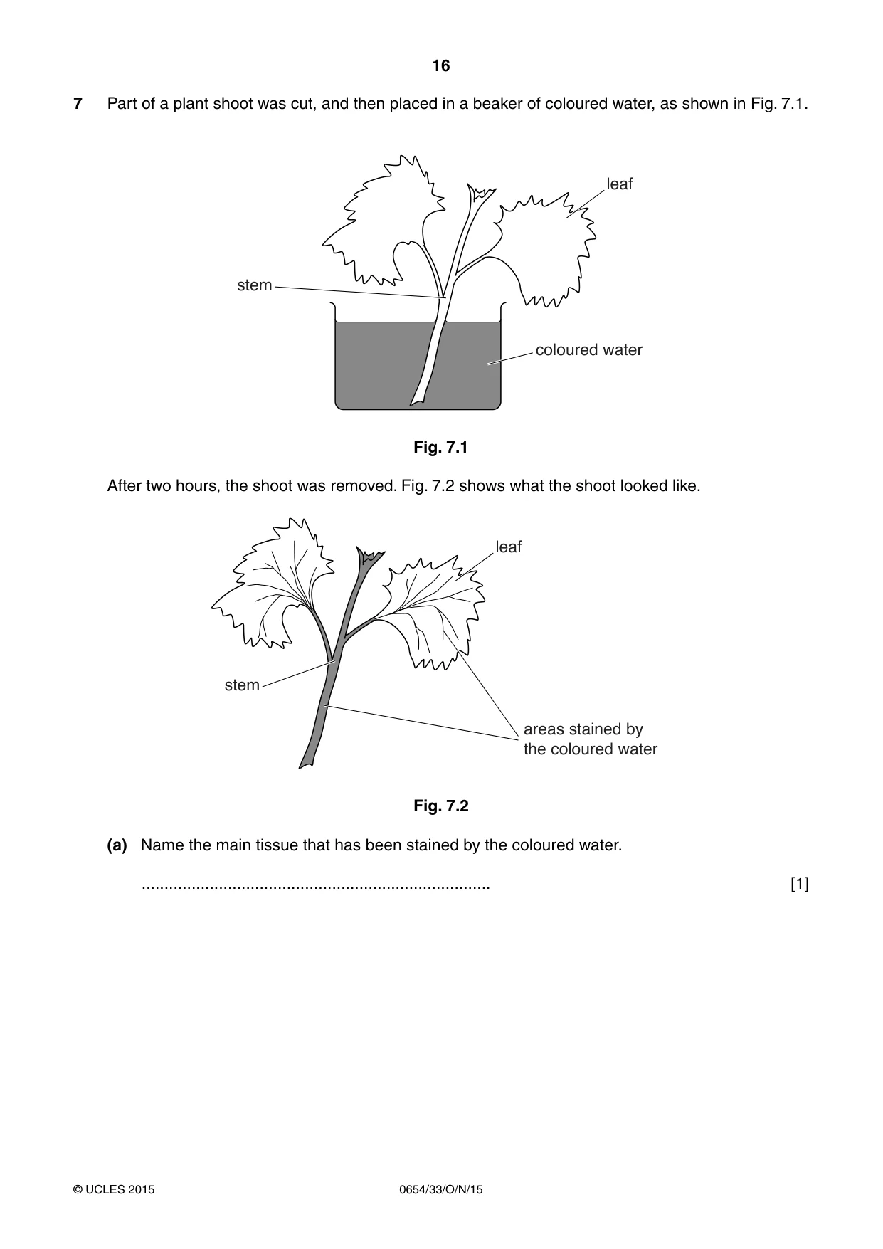 Cambridge IGCSE Sciences - Co-ordinated (Double) 0654 2015 Oct/Nov Paper 3 · Variant 3 question paper, page 16 of 28
