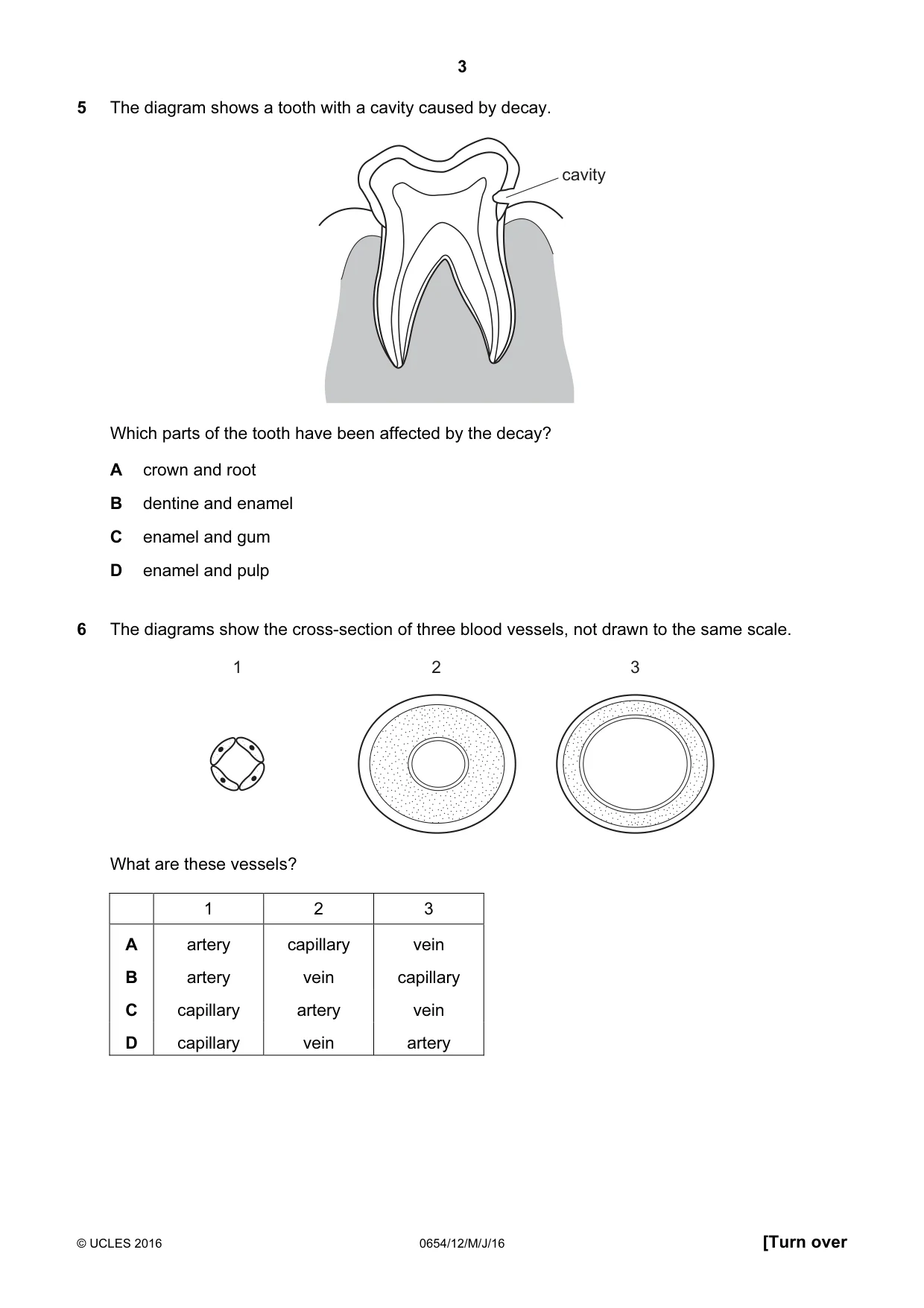Cambridge IGCSE Sciences - Co-ordinated (Double) 0654 2016 May/June Paper 1 · Variant 2 question paper, page 3 of 20