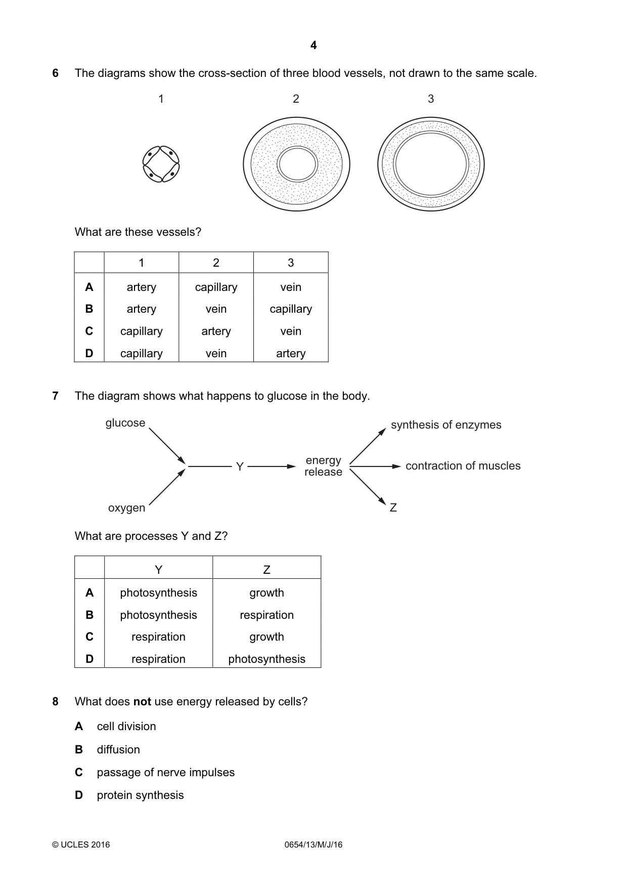 Cambridge IGCSE Sciences - Co-ordinated (Double) 0654 2016 May/June Paper 1 · Variant 3 question paper, page 4 of 20