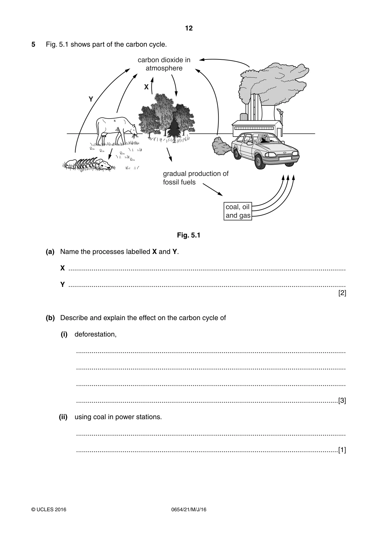 Cambridge IGCSE Sciences - Co-ordinated (Double) 0654 2016 May/June Paper 2 · Variant 1 question paper, page 12 of 28