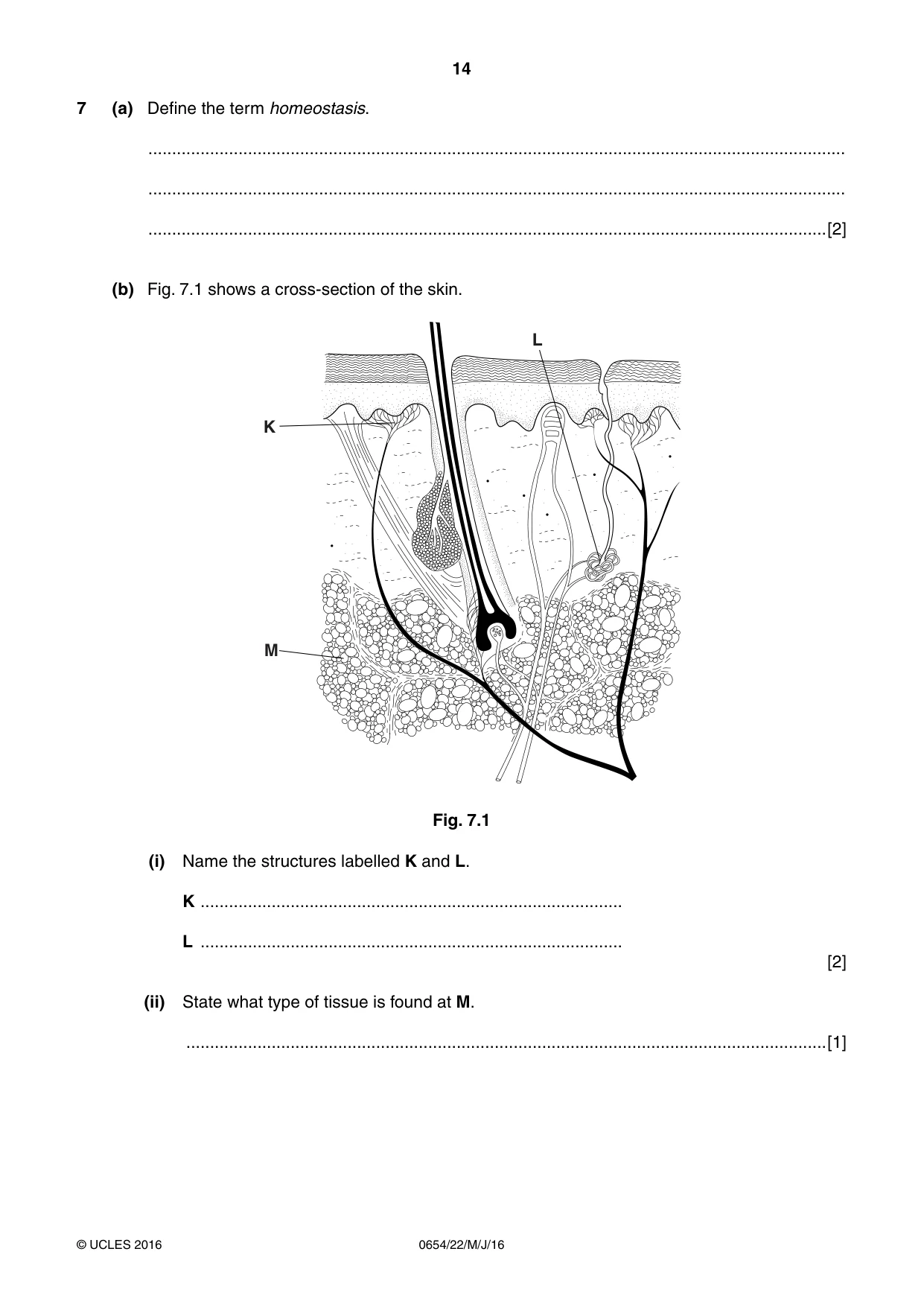 Cambridge IGCSE Sciences - Co-ordinated (Double) 0654 2016 May/June Paper 2 · Variant 2 question paper, page 14 of 32