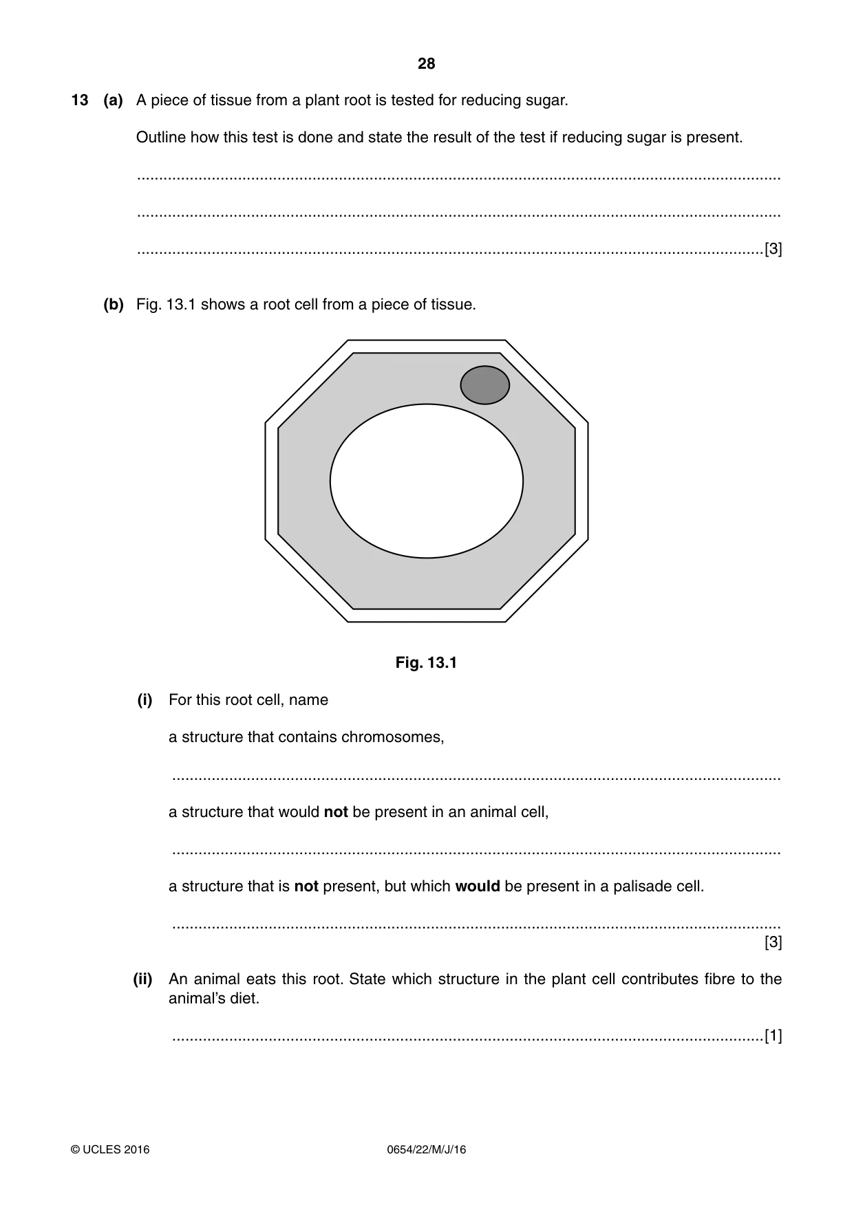 Cambridge IGCSE Sciences - Co-ordinated (Double) 0654 2016 May/June Paper 2 · Variant 2 question paper, page 28 of 32