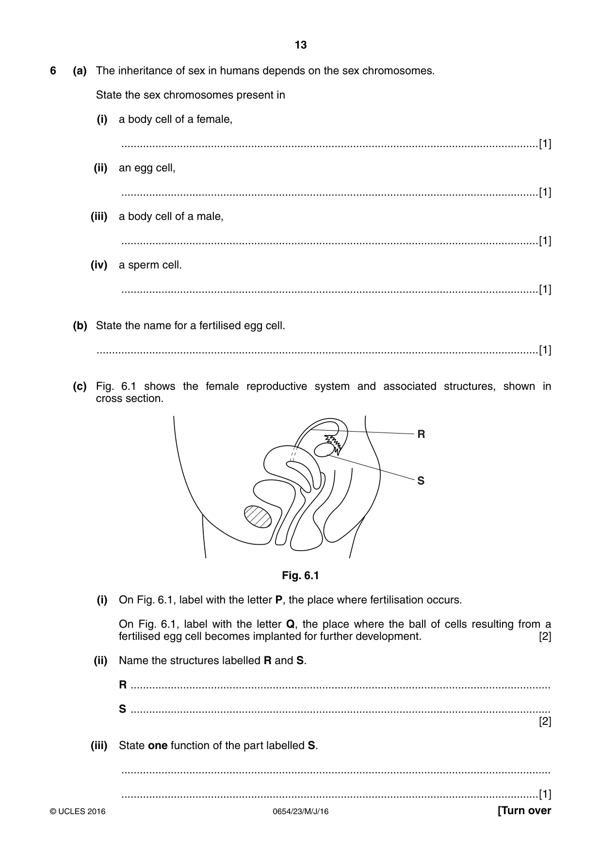 Cambridge IGCSE Sciences - Co-ordinated (Double) 0654 2016 May/June Paper 2 · Variant 3 question paper, page 13 of 32