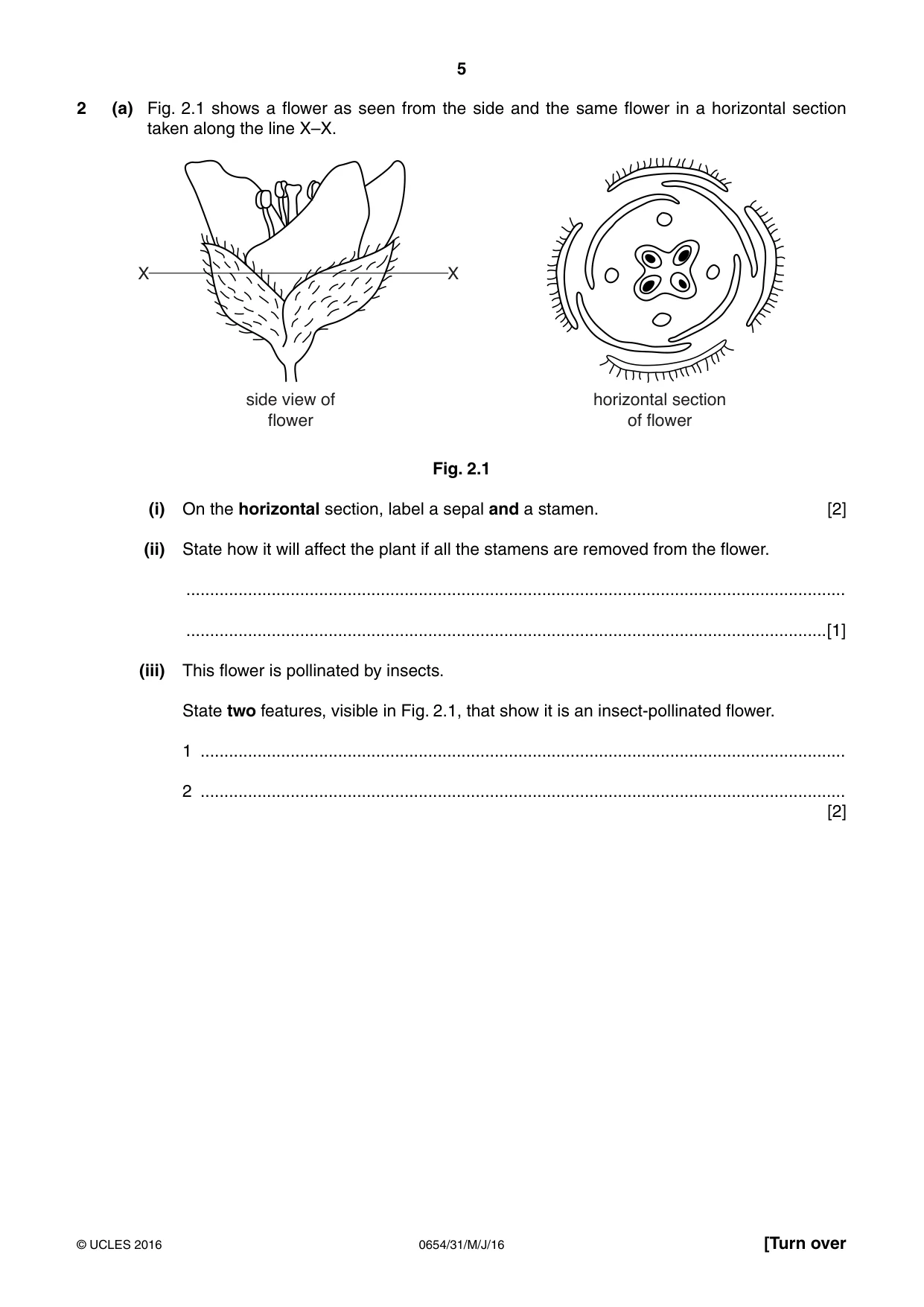 Cambridge IGCSE Sciences - Co-ordinated (Double) 0654 2016 May/June Paper 3 · Variant 1 question paper, page 5 of 32