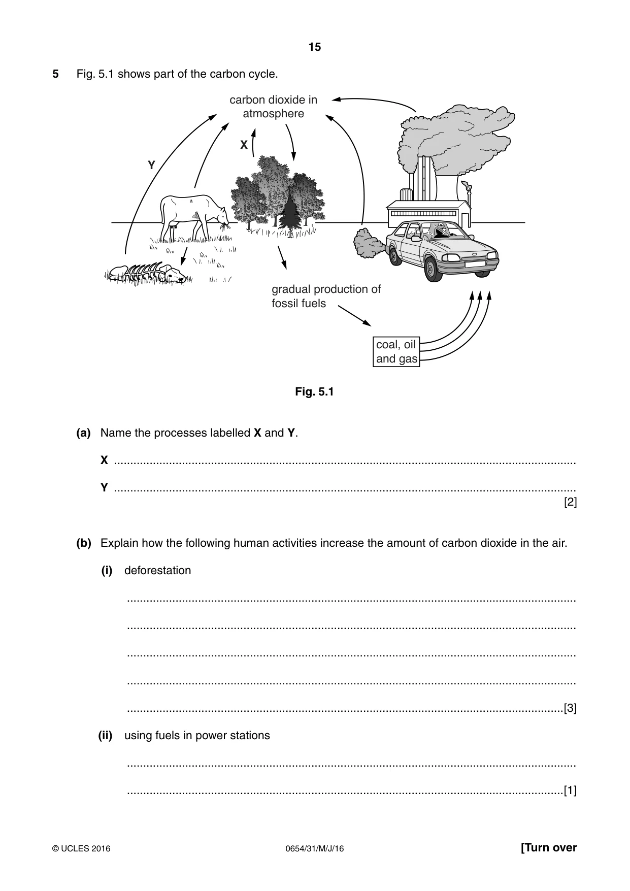 Cambridge IGCSE Sciences - Co-ordinated (Double) 0654 2016 May/June Paper 3 · Variant 1 question paper, page 15 of 32