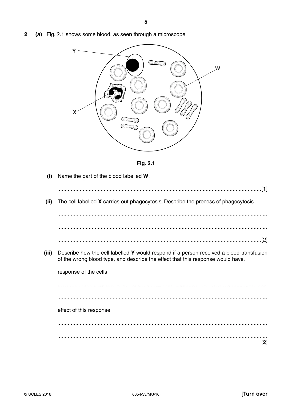 Cambridge IGCSE Sciences - Co-ordinated (Double) 0654 2016 May/June Paper 3 · Variant 3 question paper, page 5 of 36