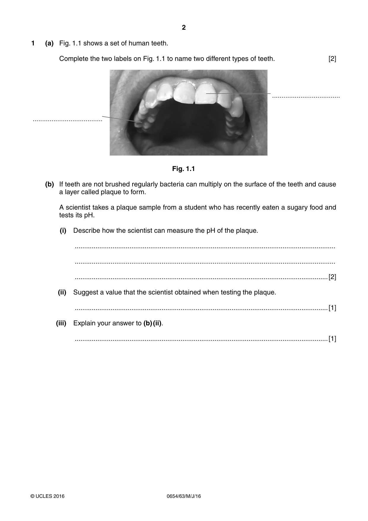 Cambridge IGCSE Sciences - Co-ordinated (Double) 0654 2016 May/June Paper 6 · Variant 3 question paper, page 2 of 20