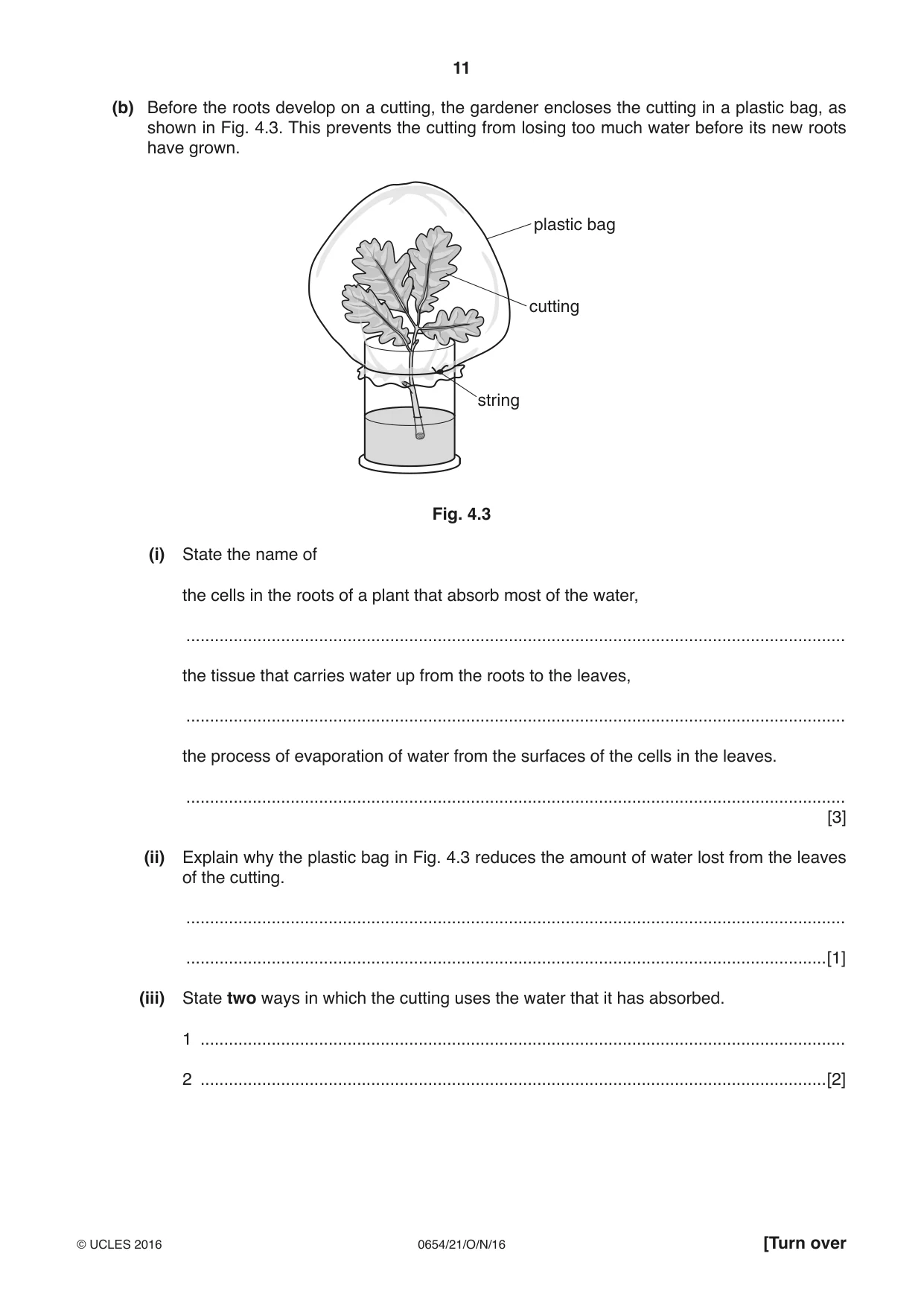 Cambridge IGCSE Sciences - Co-ordinated (Double) 0654 2016 Oct/Nov Paper 2 · Variant 1 question paper, page 11 of 32