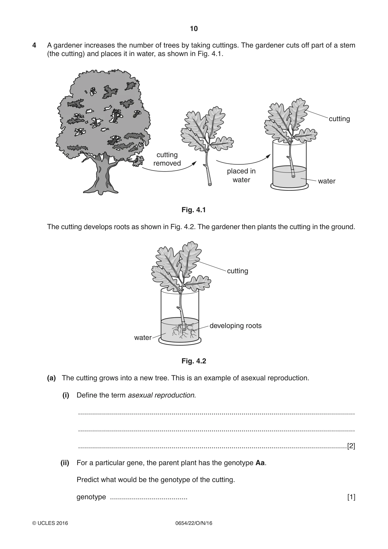 Cambridge IGCSE Sciences - Co-ordinated (Double) 0654 2016 Oct/Nov Paper 2 · Variant 2 question paper, page 10 of 32