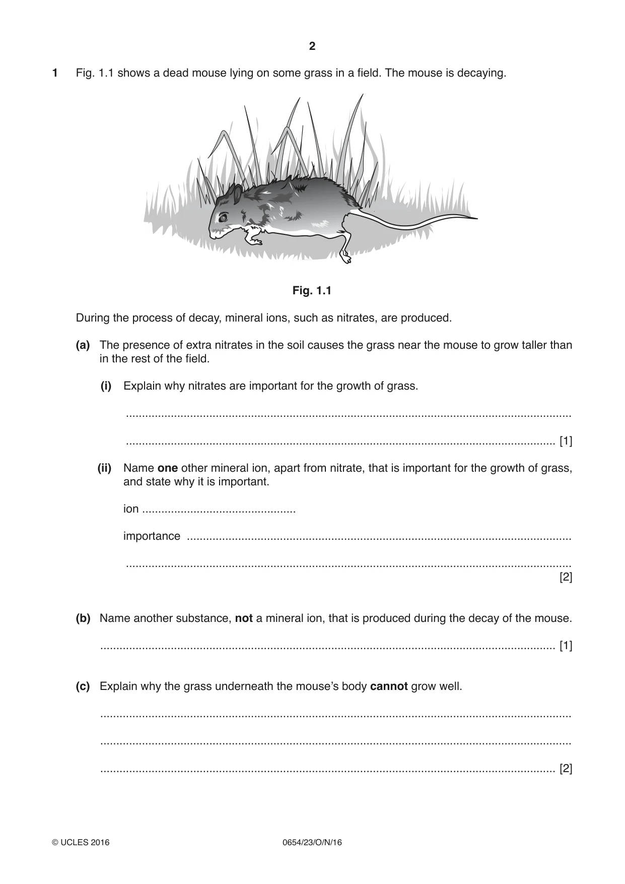 Cambridge IGCSE Sciences - Co-ordinated (Double) 0654 2016 Oct/Nov Paper 2 · Variant 3 question paper, page 2 of 28