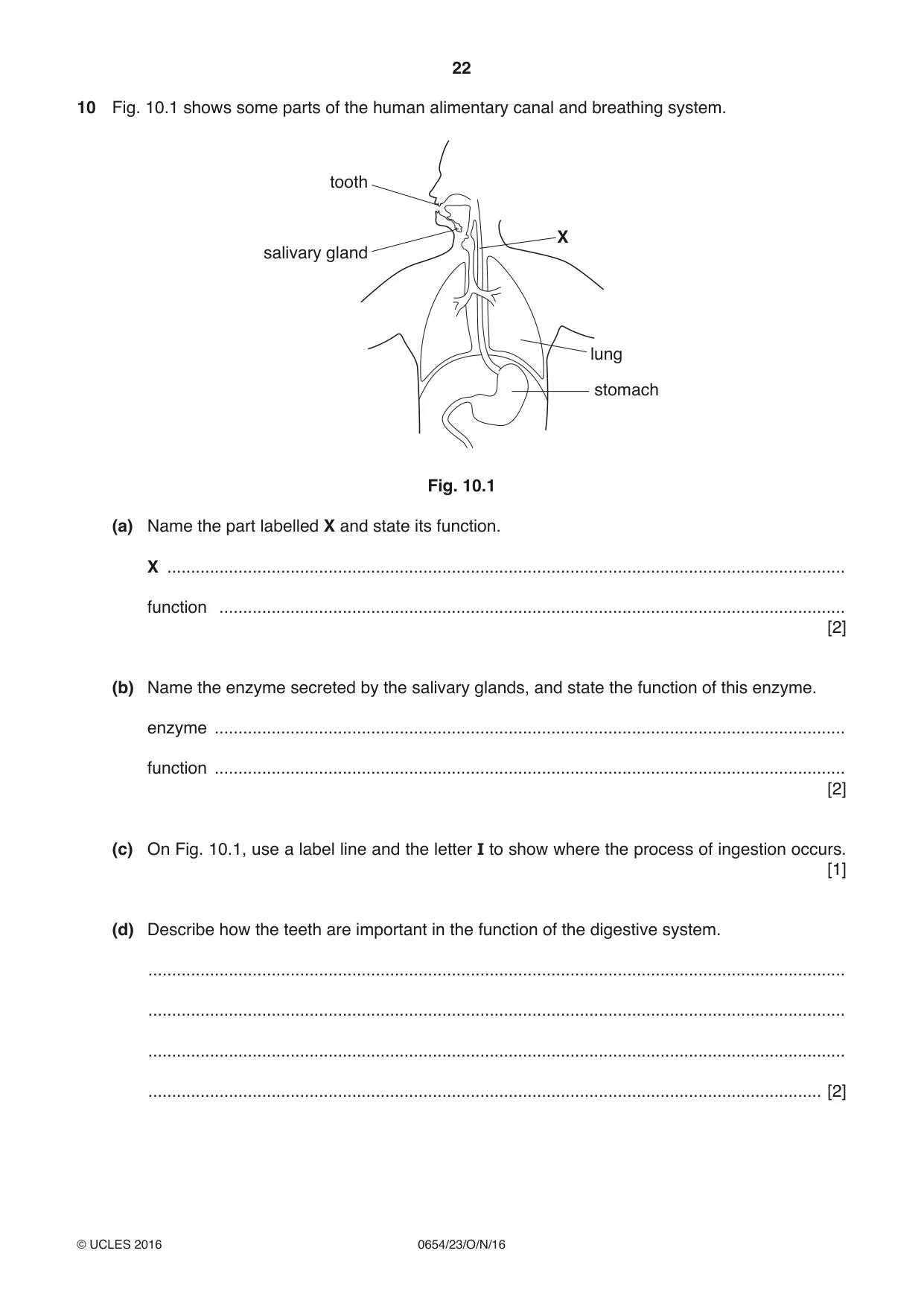 Cambridge IGCSE Sciences - Co-ordinated (Double) 0654 2016 Oct/Nov Paper 2 · Variant 3 question paper, page 22 of 28