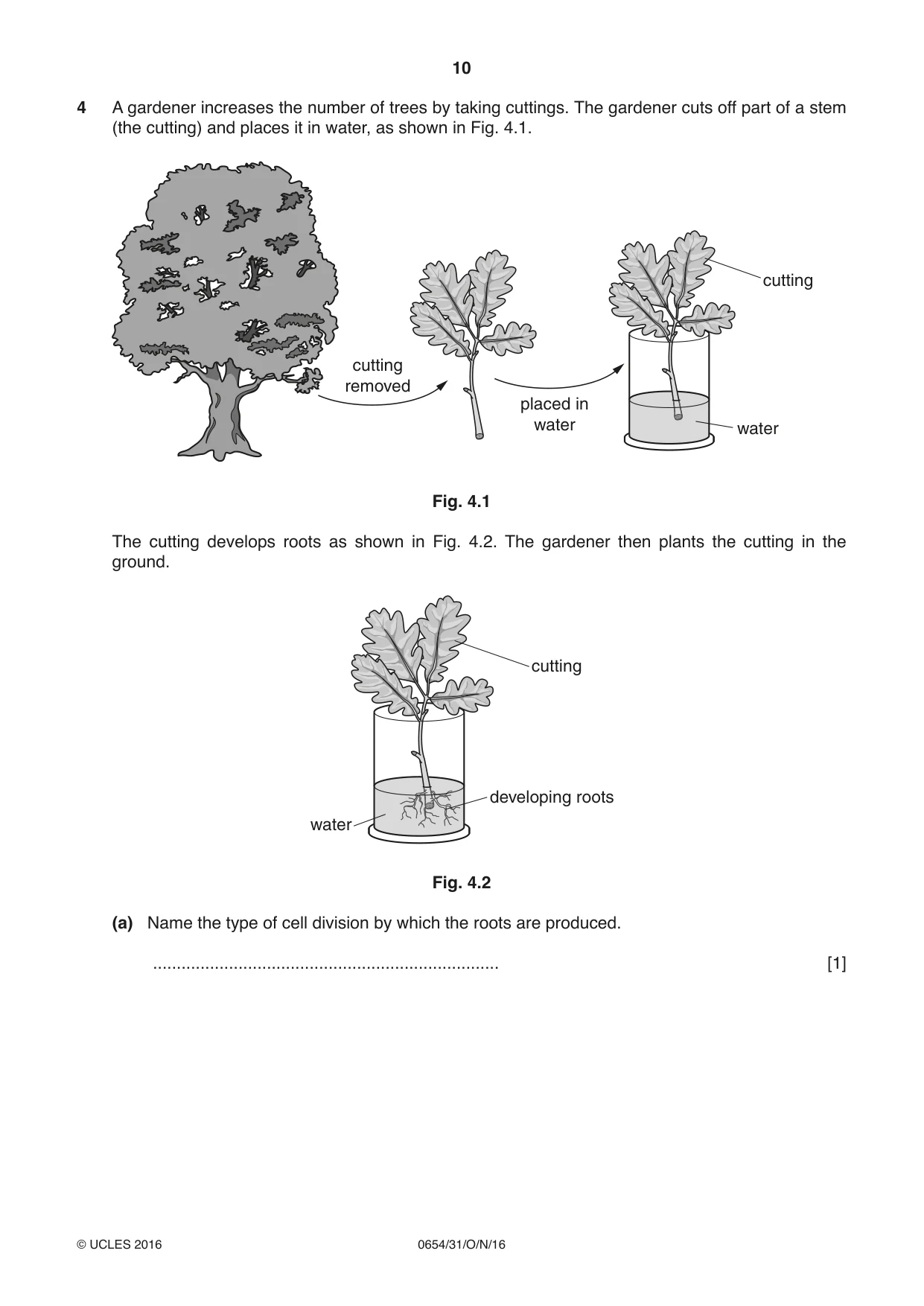 Cambridge IGCSE Sciences - Co-ordinated (Double) 0654 2016 Oct/Nov Paper 3 · Variant 1 question paper, page 10 of 32