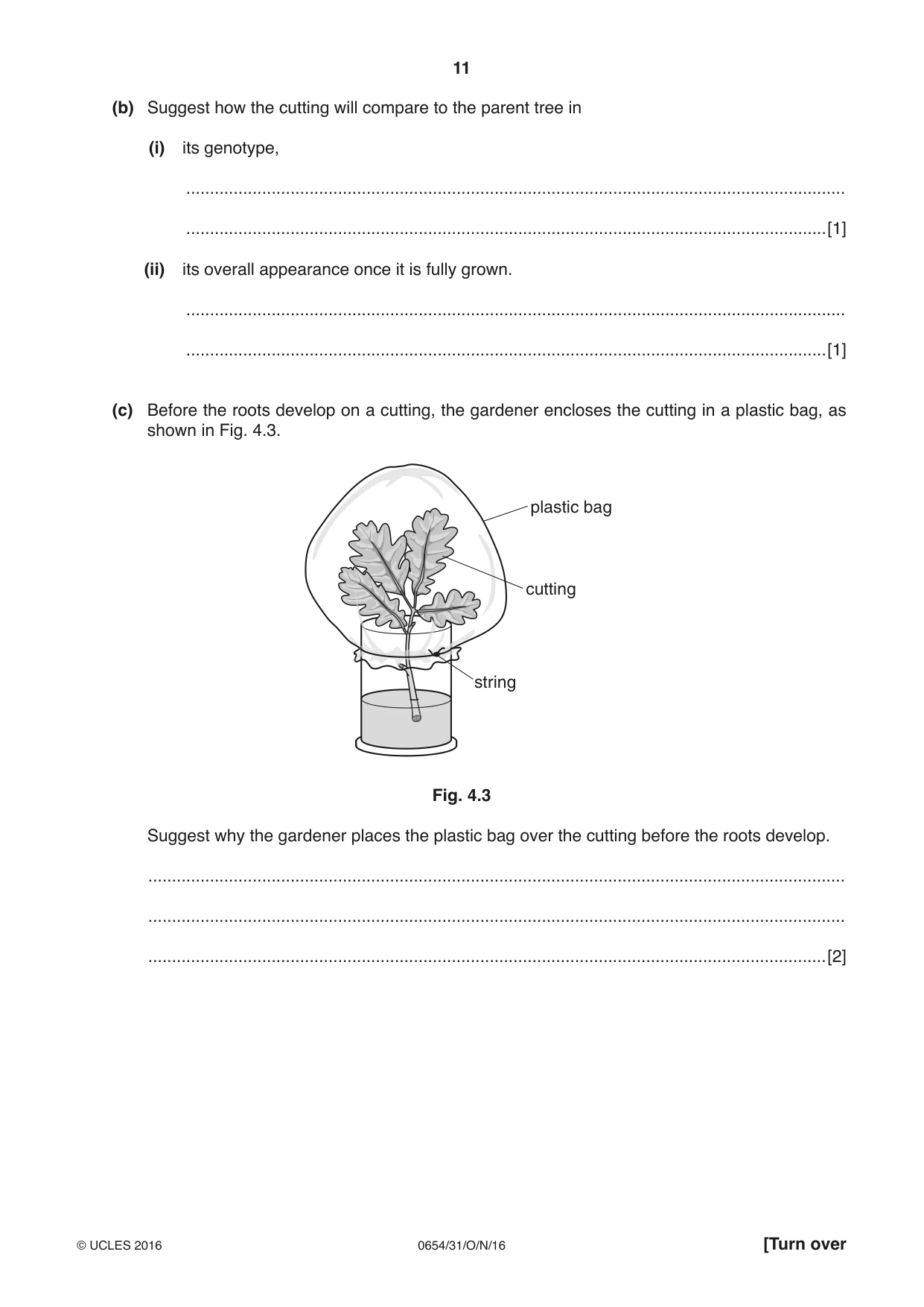 Cambridge IGCSE Sciences - Co-ordinated (Double) 0654 2016 Oct/Nov Paper 3 · Variant 1 question paper, page 11 of 32