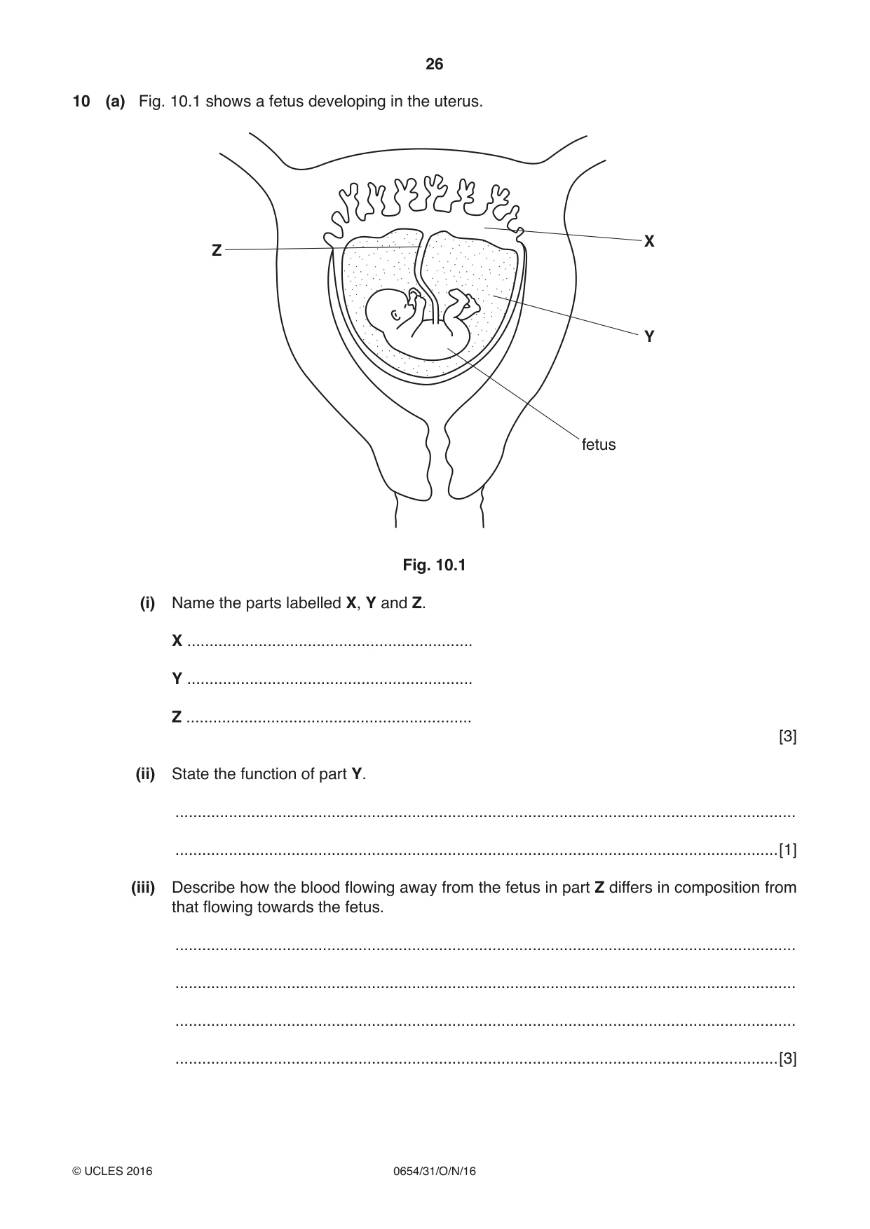 Cambridge IGCSE Sciences - Co-ordinated (Double) 0654 2016 Oct/Nov Paper 3 · Variant 1 question paper, page 26 of 32