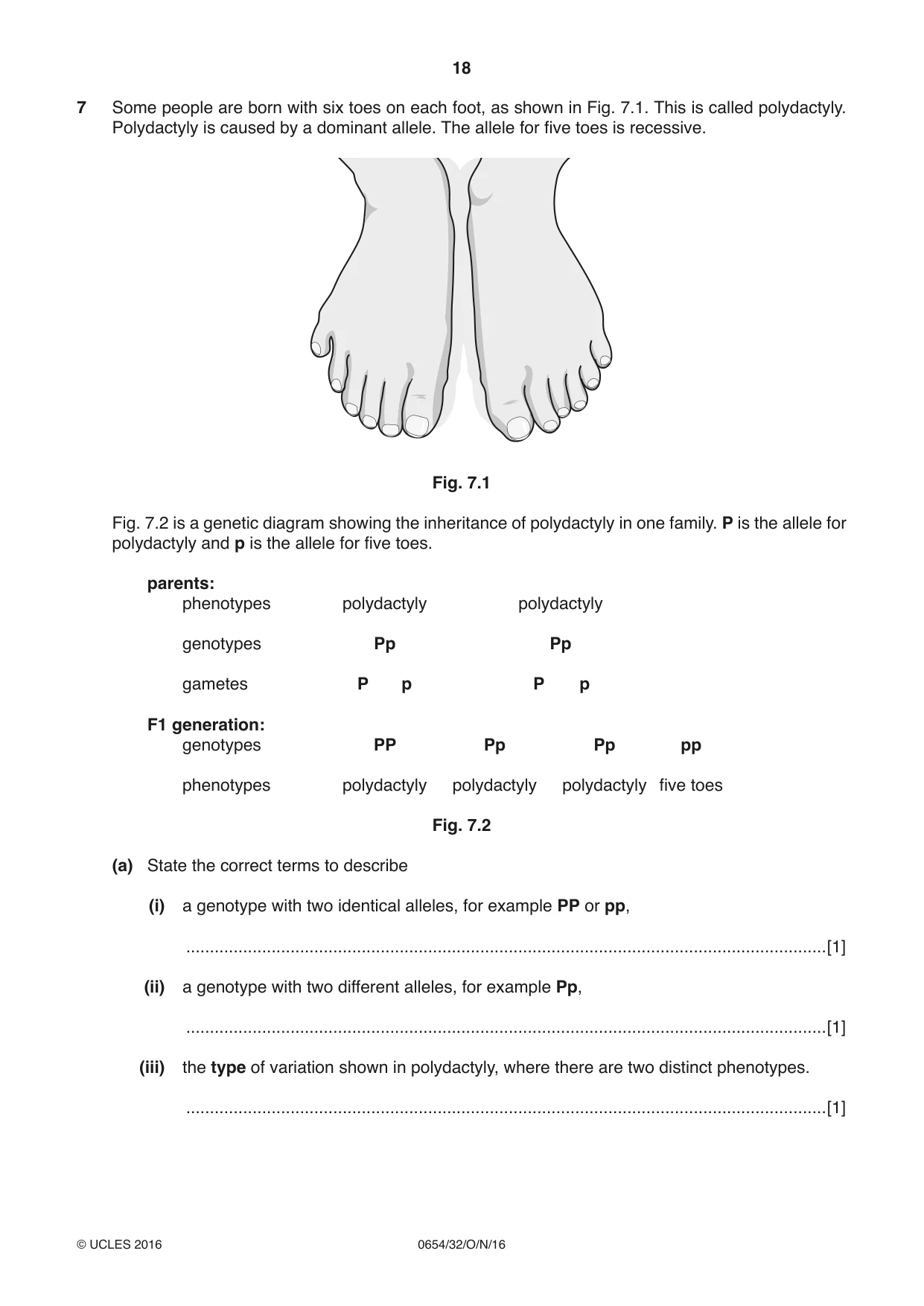 Cambridge IGCSE Sciences - Co-ordinated (Double) 0654 2016 Oct/Nov Paper 3 · Variant 2 question paper, page 18 of 36