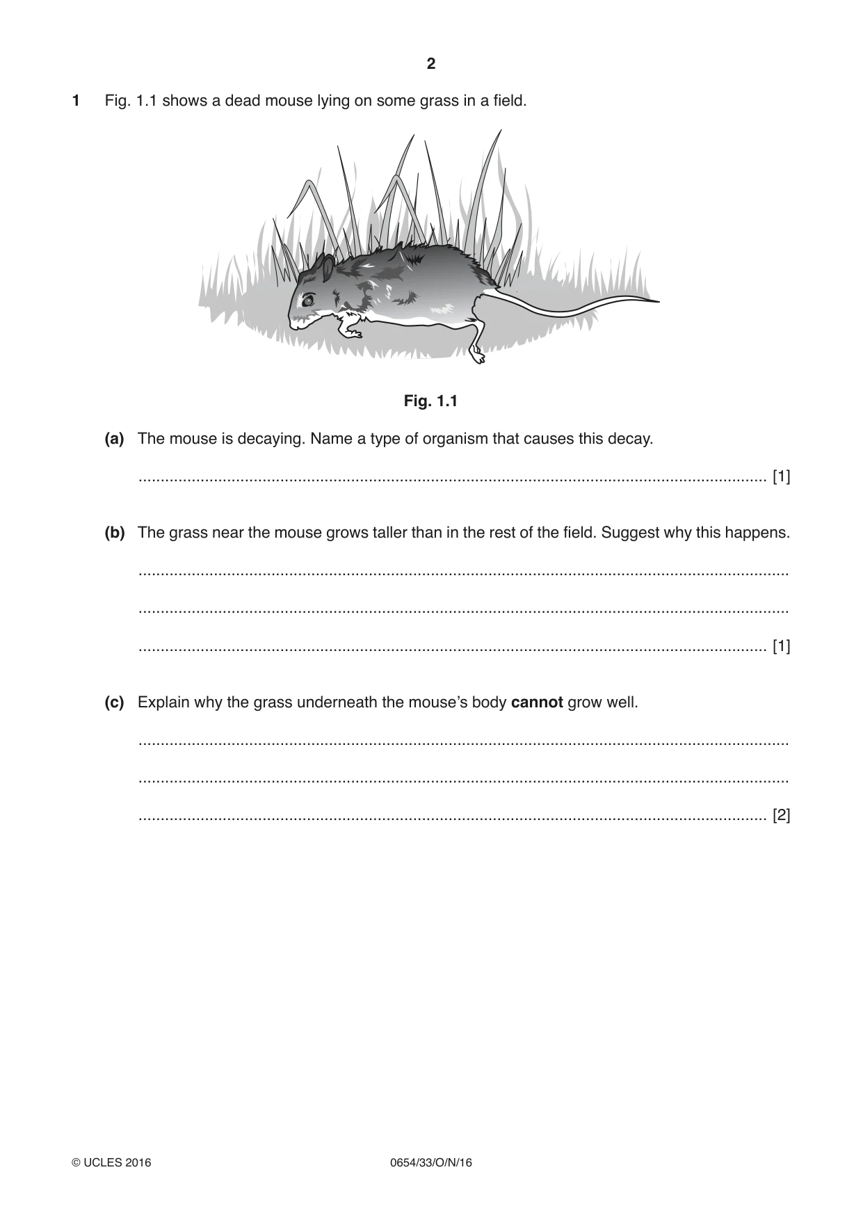 Cambridge IGCSE Sciences - Co-ordinated (Double) 0654 2016 Oct/Nov Paper 3 · Variant 3 question paper, page 2 of 32