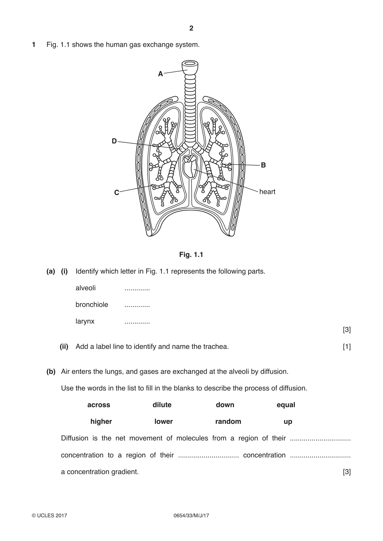 Cambridge IGCSE Sciences - Co-ordinated (Double) 0654 2017 May/June Paper 3 · Variant 3 question paper, page 2 of 32