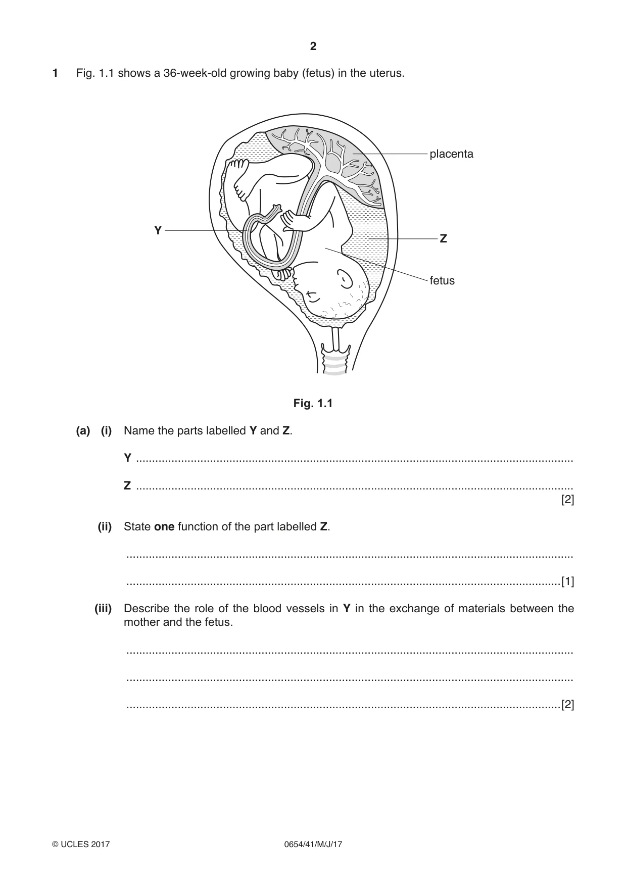 Cambridge IGCSE Sciences - Co-ordinated (Double) 0654 2017 May/June Paper 4 · Variant 1 question paper, page 2 of 28