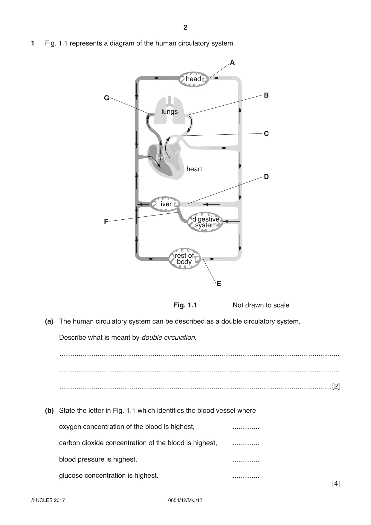Cambridge IGCSE Sciences - Co-ordinated (Double) 0654 2017 May/June Paper 4 · Variant 2 question paper, page 2 of 28