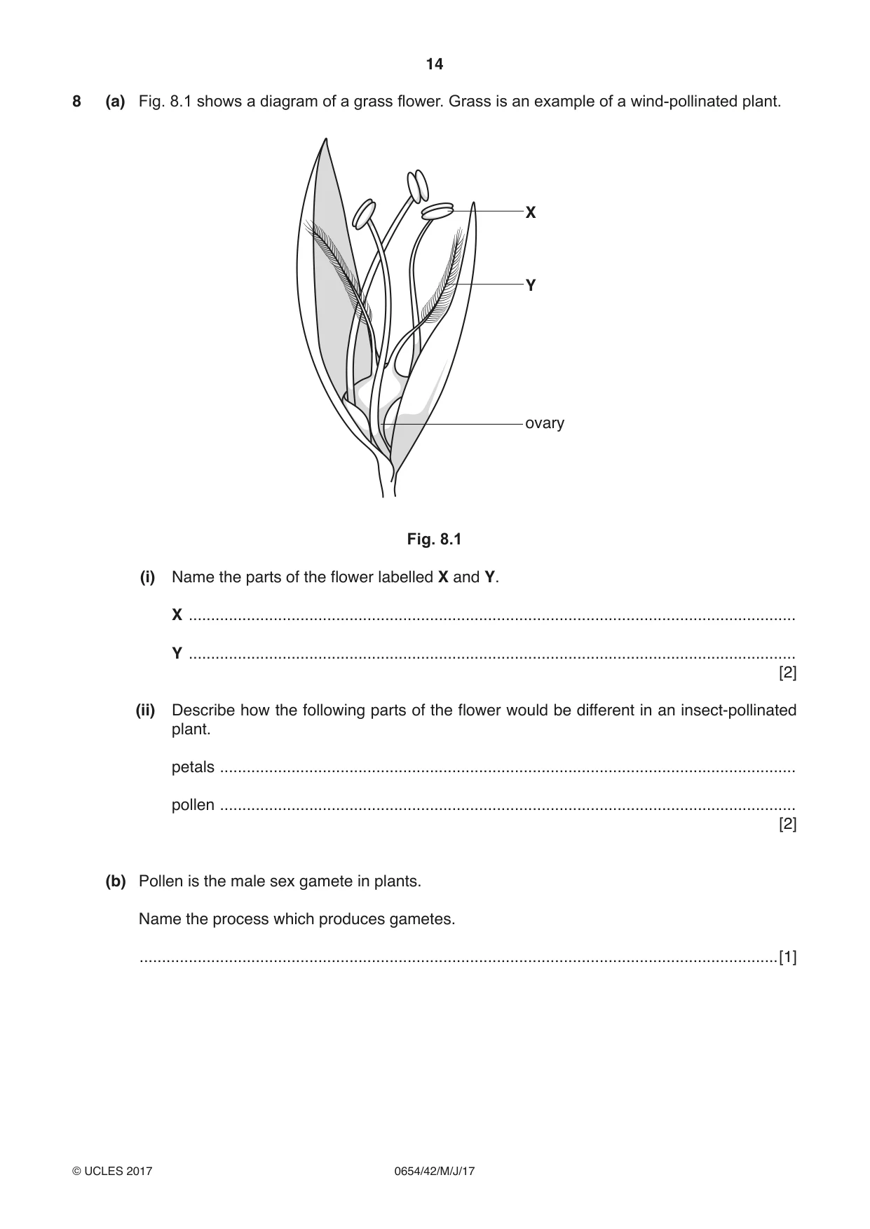 Cambridge IGCSE Sciences - Co-ordinated (Double) 0654 2017 May/June Paper 4 · Variant 2 question paper, page 14 of 28