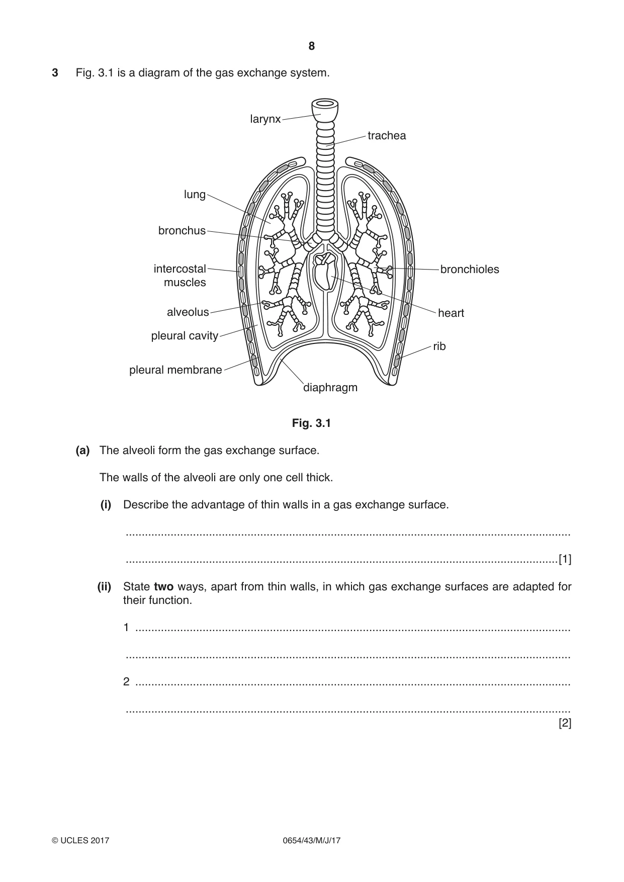 Cambridge IGCSE Sciences - Co-ordinated (Double) 0654 2017 May/June Paper 4 · Variant 3 question paper, page 8 of 32