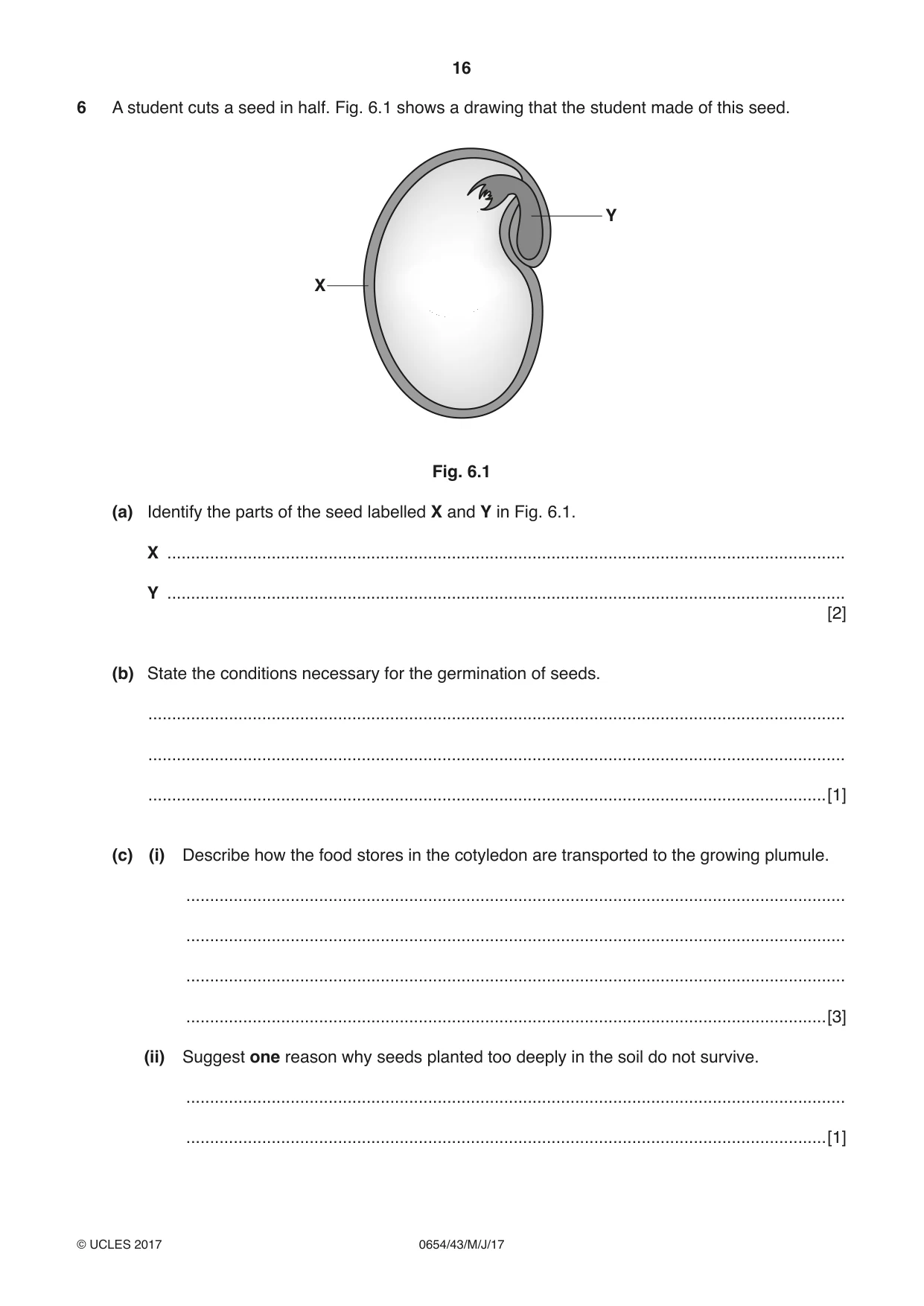 Cambridge IGCSE Sciences - Co-ordinated (Double) 0654 2017 May/June Paper 4 · Variant 3 question paper, page 16 of 32