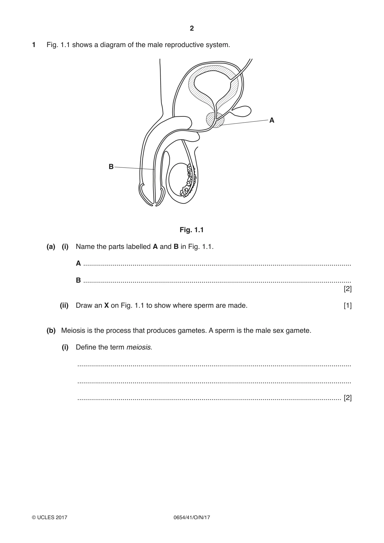 Cambridge IGCSE Sciences - Co-ordinated (Double) 0654 2017 Oct/Nov Paper 4 · Variant 1 question paper, page 2 of 32