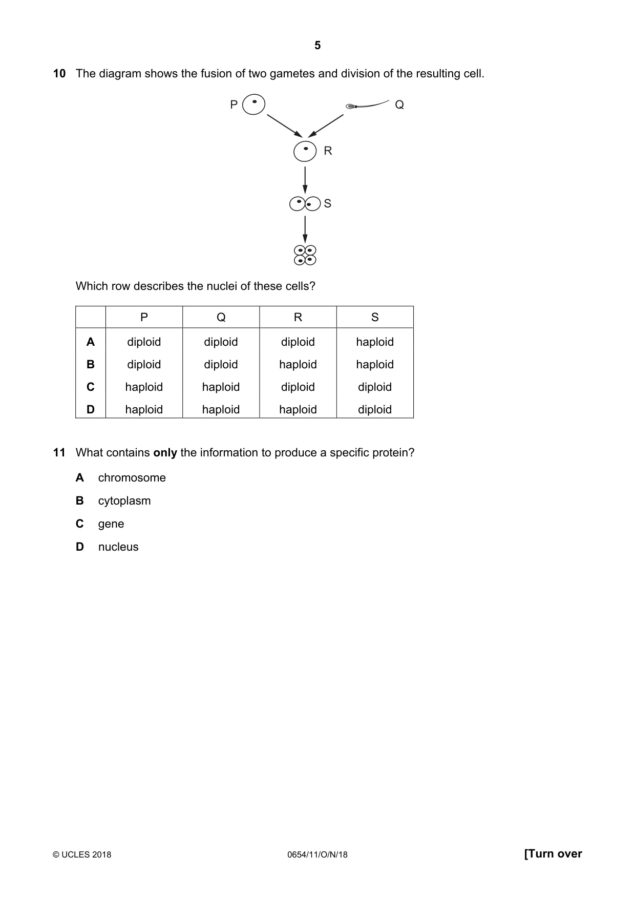 Cambridge IGCSE Sciences - Co-ordinated (Double) 0654 2018 Oct/Nov Paper 1 · Variant 1 question paper, page 5 of 16