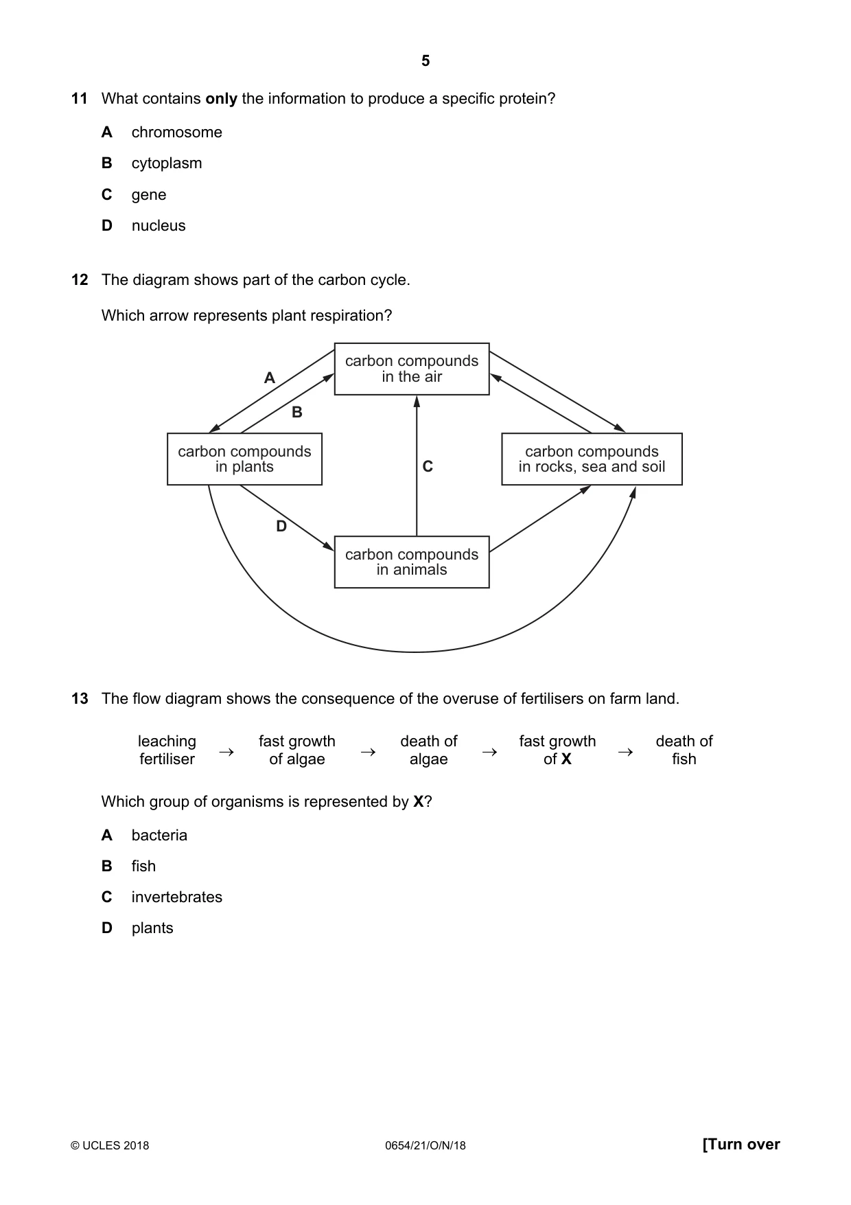 Cambridge IGCSE Sciences - Co-ordinated (Double) 0654 2018 Oct/Nov Paper 2 · Variant 1 question paper, page 5 of 16