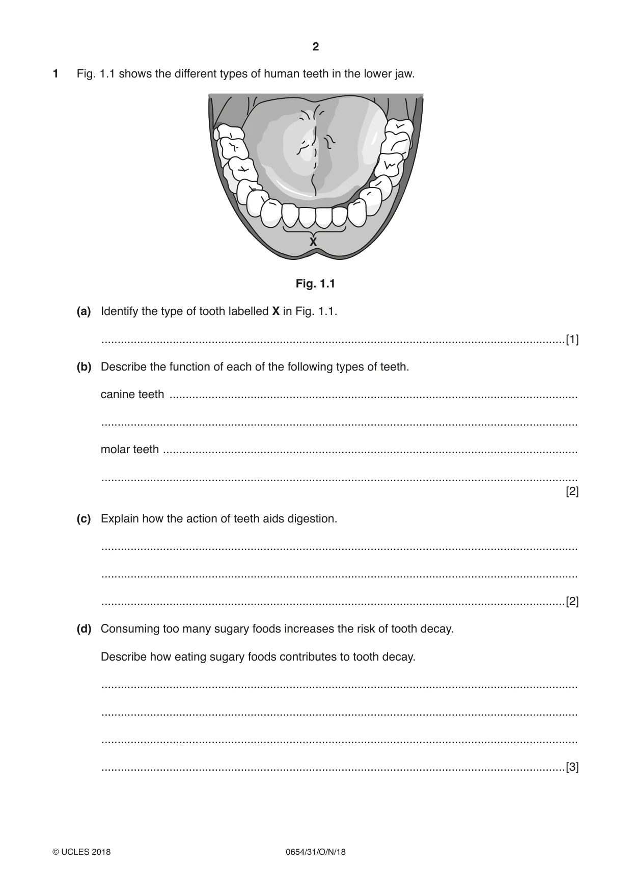 Cambridge IGCSE Sciences - Co-ordinated (Double) 0654 2018 Oct/Nov Paper 3 · Variant 1 question paper, page 2 of 28