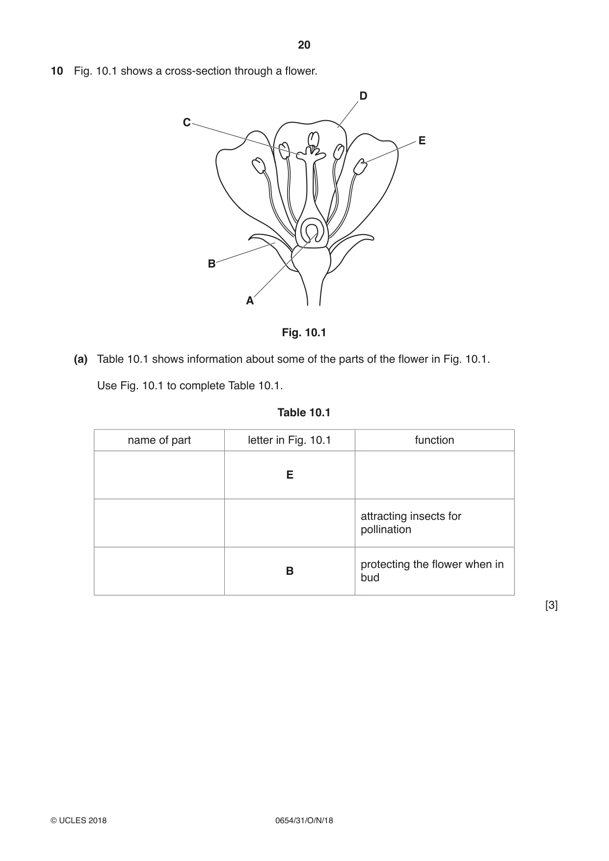 Cambridge IGCSE Sciences - Co-ordinated (Double) 0654 2018 Oct/Nov Paper 3 · Variant 1 question paper, page 20 of 28