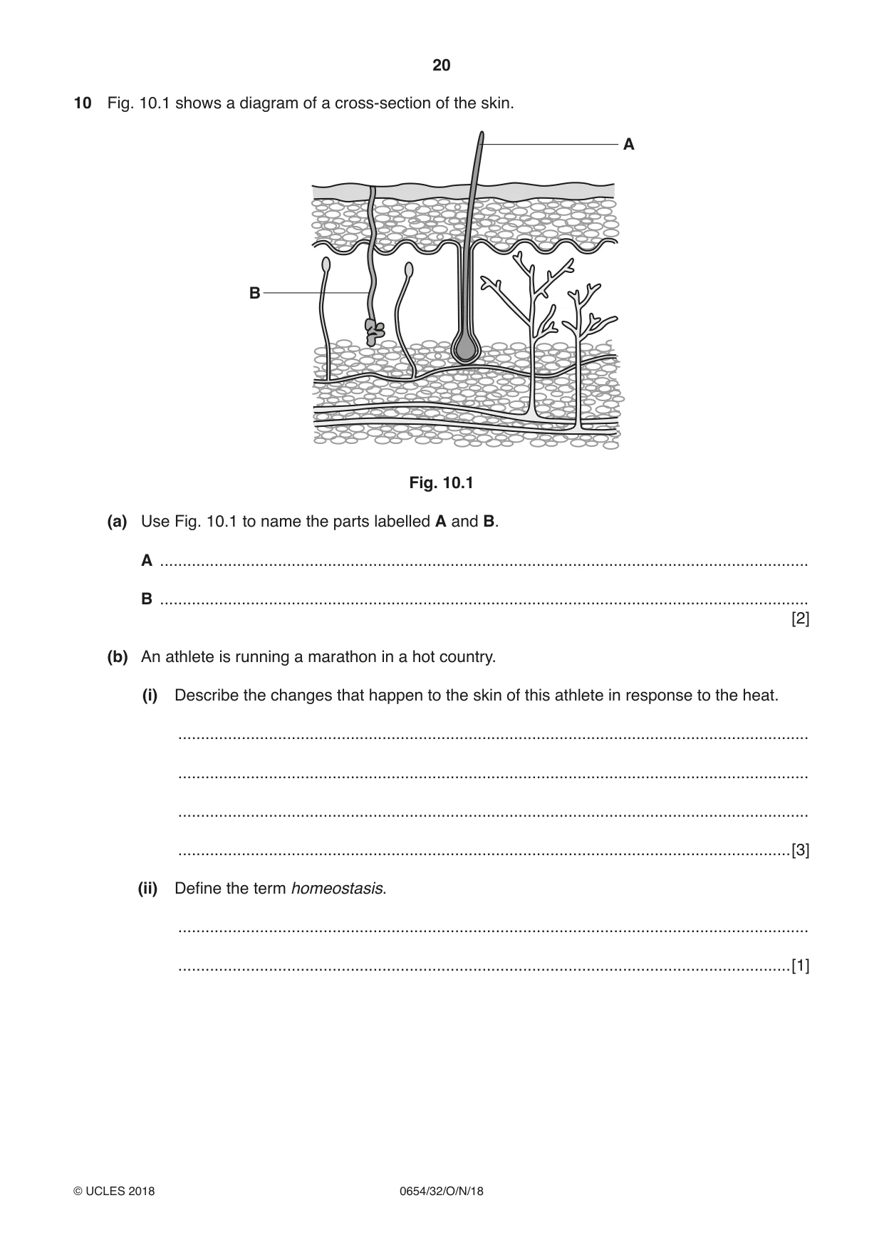 Cambridge IGCSE Sciences - Co-ordinated (Double) 0654 2018 Oct/Nov Paper 3 · Variant 2 question paper, page 20 of 28