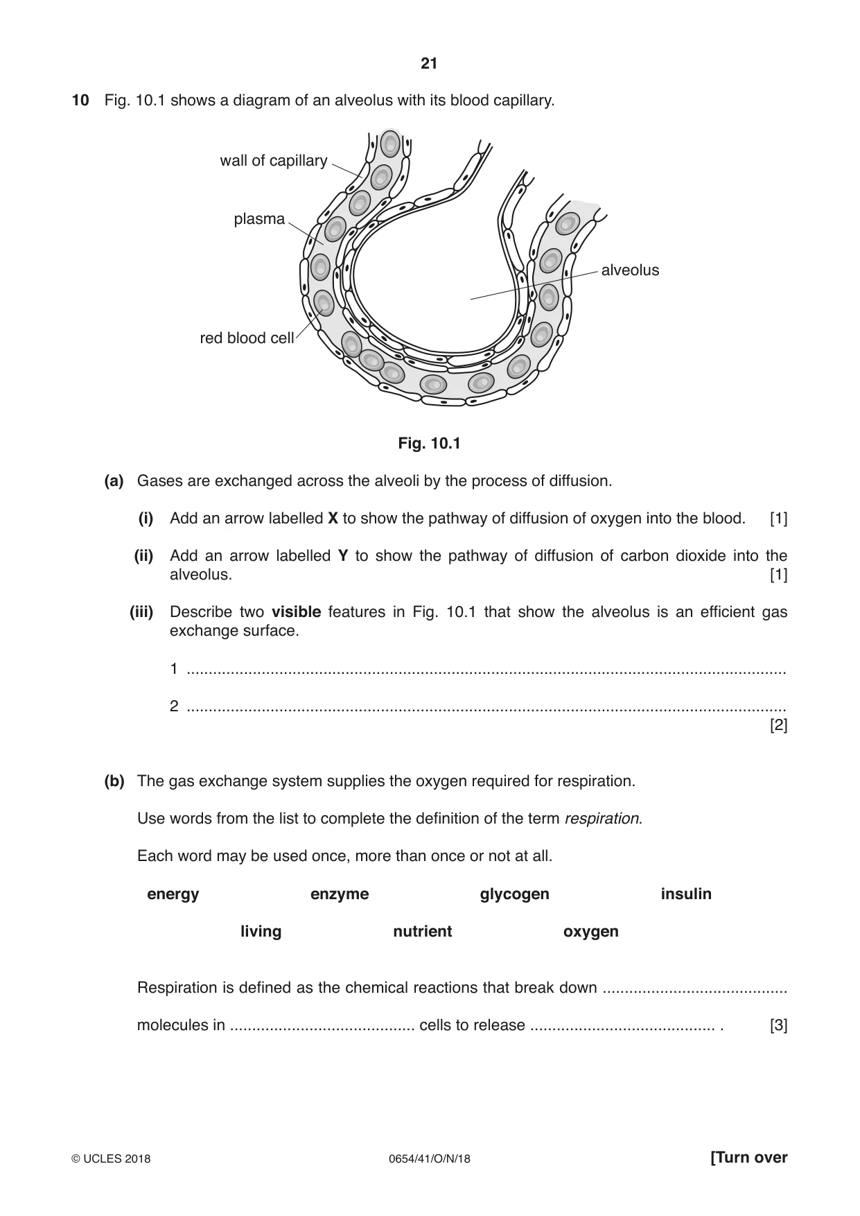 Cambridge IGCSE Sciences - Co-ordinated (Double) 0654 2018 Oct/Nov Paper 4 · Variant 1 question paper, page 21 of 28