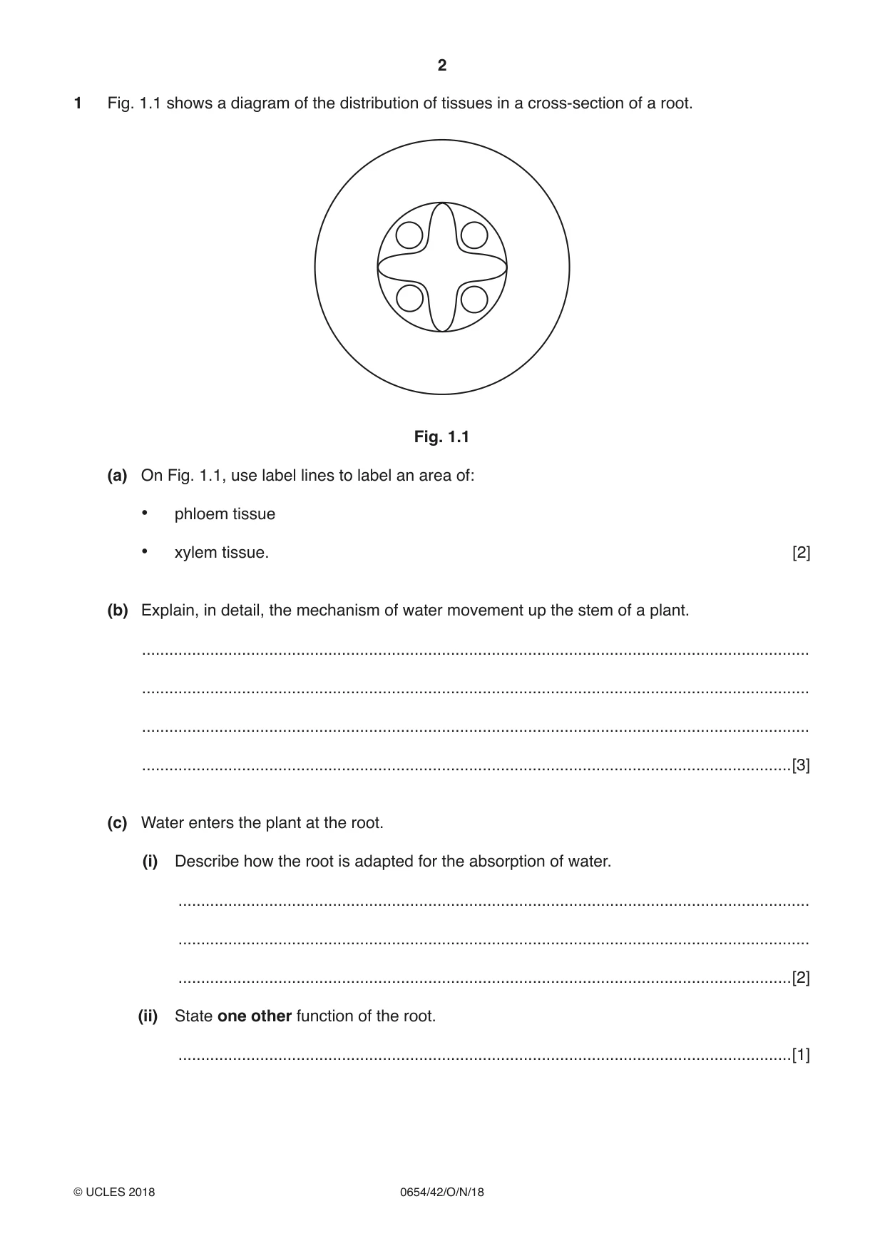 Cambridge IGCSE Sciences - Co-ordinated (Double) 0654 2018 Oct/Nov Paper 4 · Variant 2 question paper, page 2 of 36