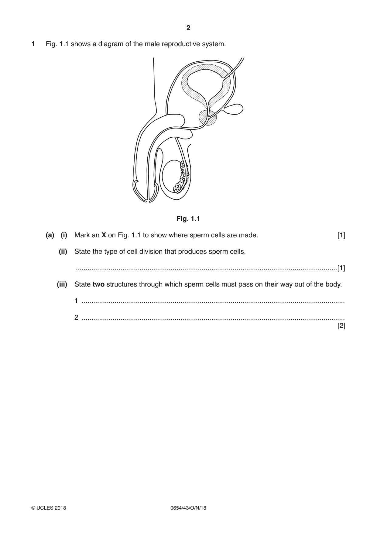 Cambridge IGCSE Sciences - Co-ordinated (Double) 0654 2018 Oct/Nov Paper 4 · Variant 3 question paper, page 2 of 32