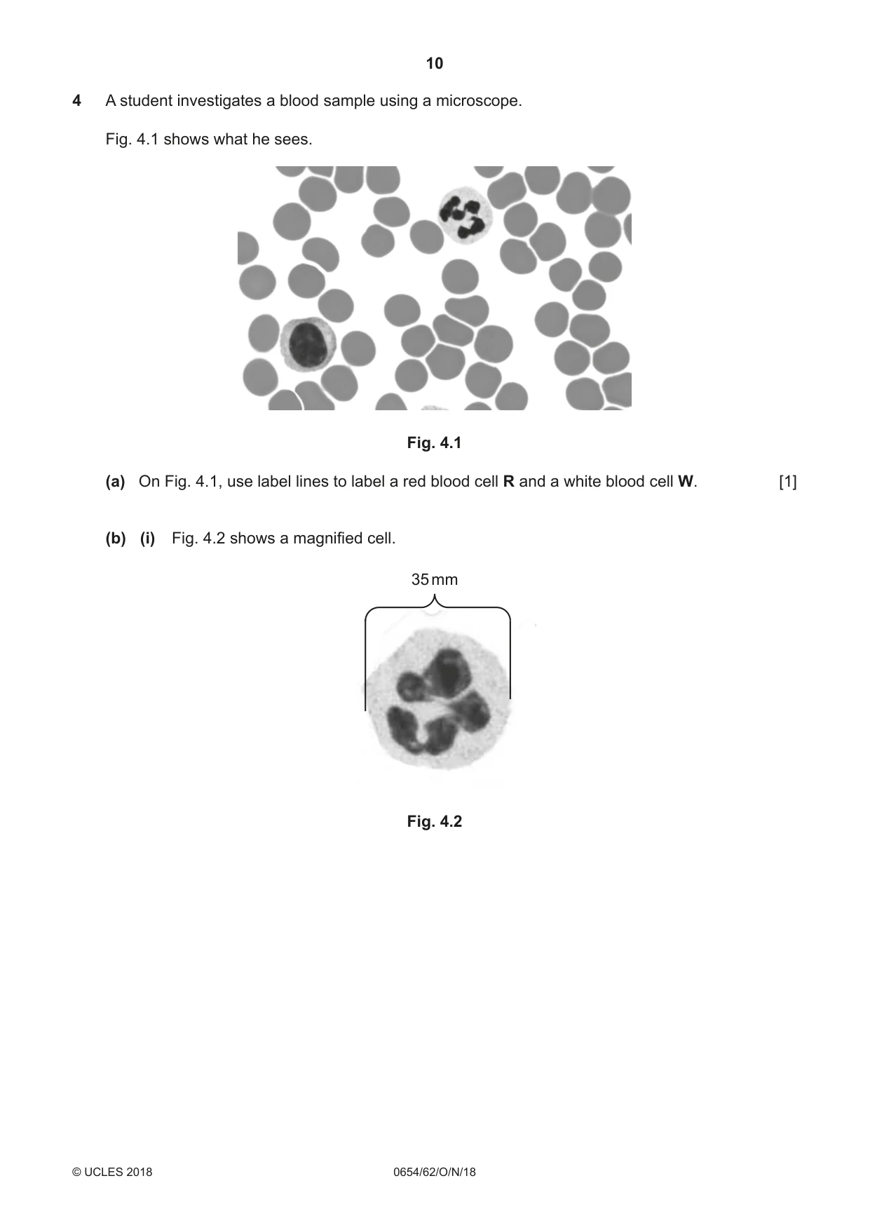Cambridge IGCSE Sciences - Co-ordinated (Double) 0654 2018 Oct/Nov Paper 6 · Variant 2 question paper, page 10 of 20
