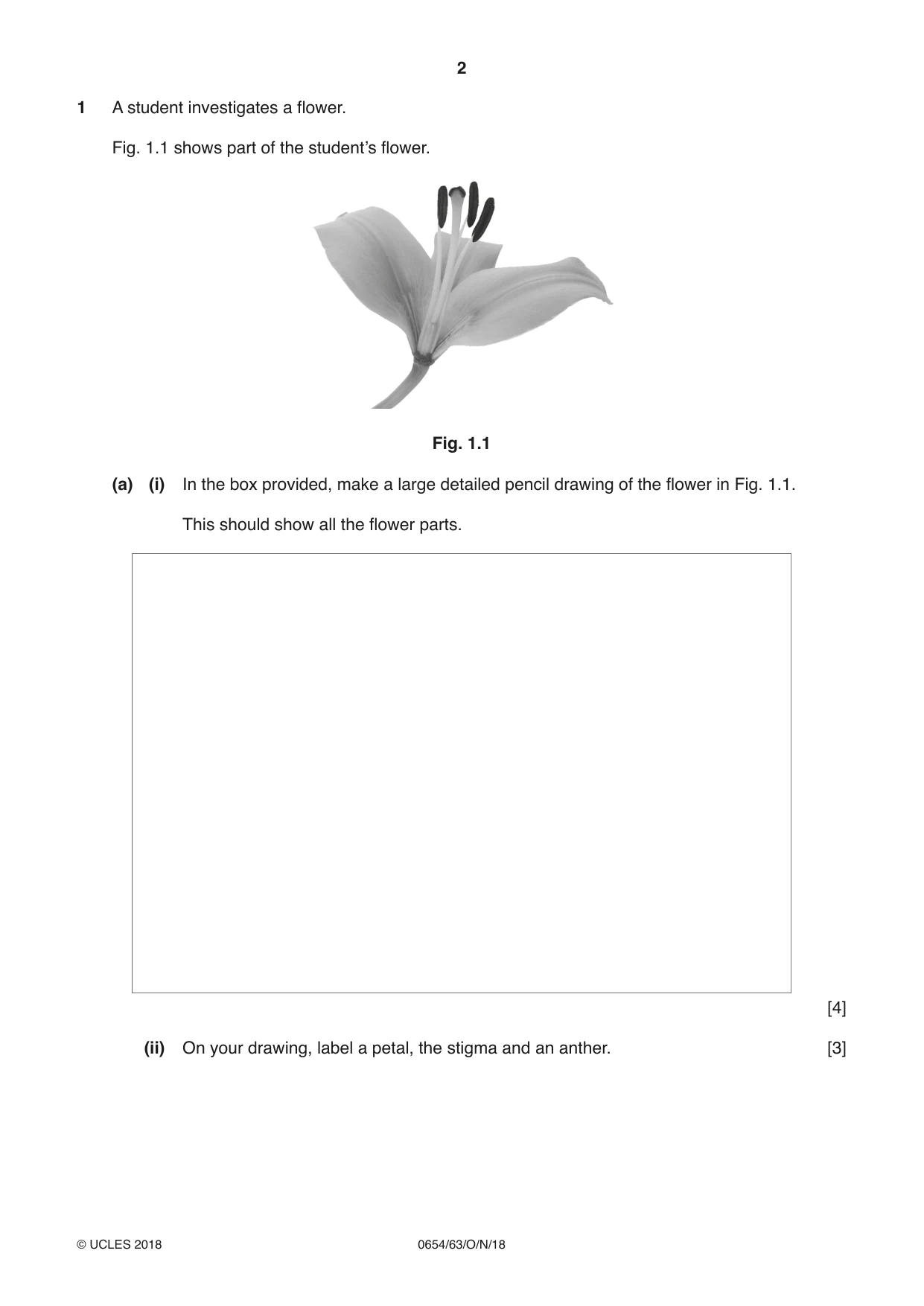 Cambridge IGCSE Sciences - Co-ordinated (Double) 0654 2018 Oct/Nov Paper 6 · Variant 3 question paper, page 2 of 20