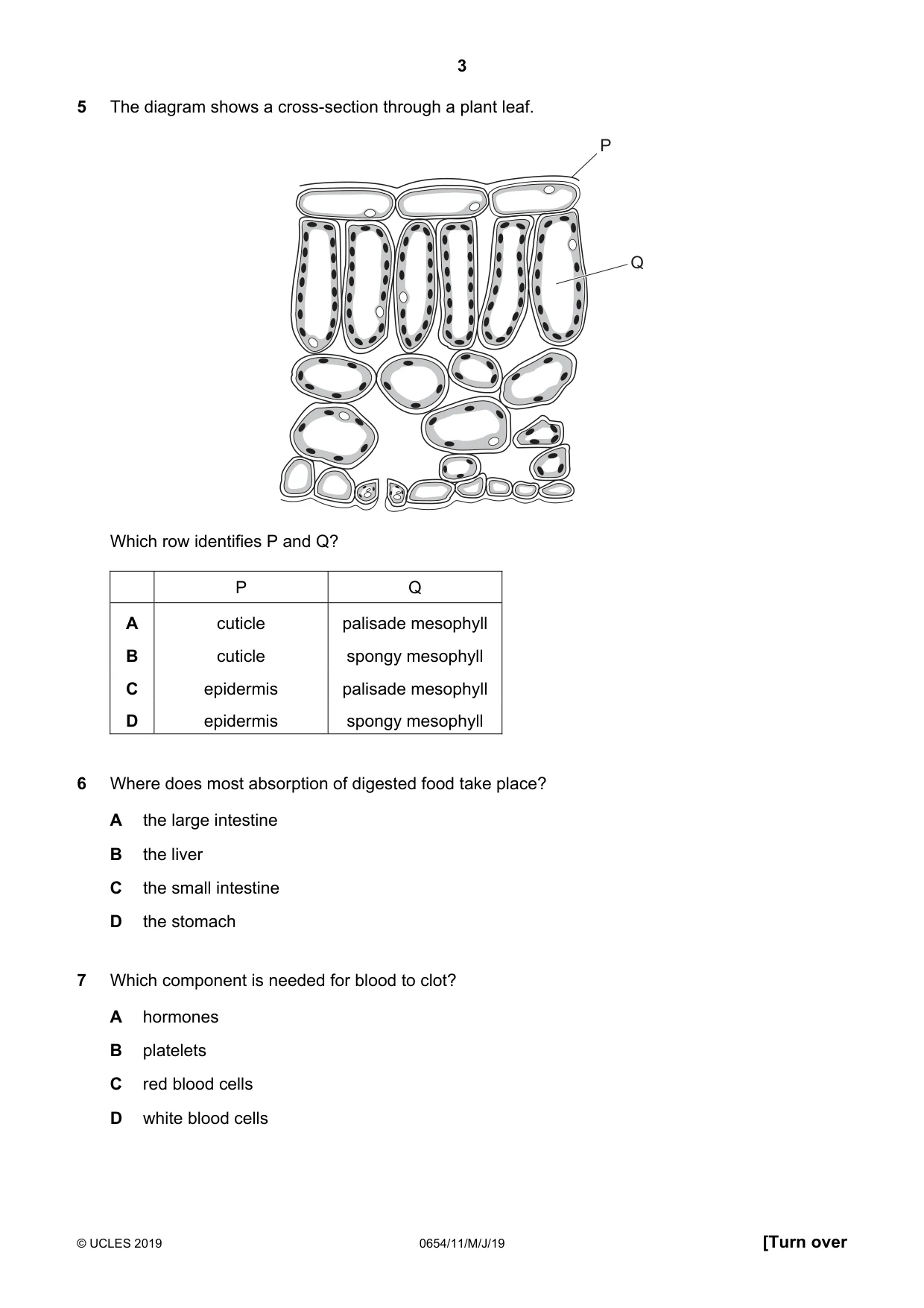Cambridge IGCSE Sciences - Co-ordinated (Double) 0654 2019 May/June Paper 1 · Variant 1 question paper, page 3 of 20