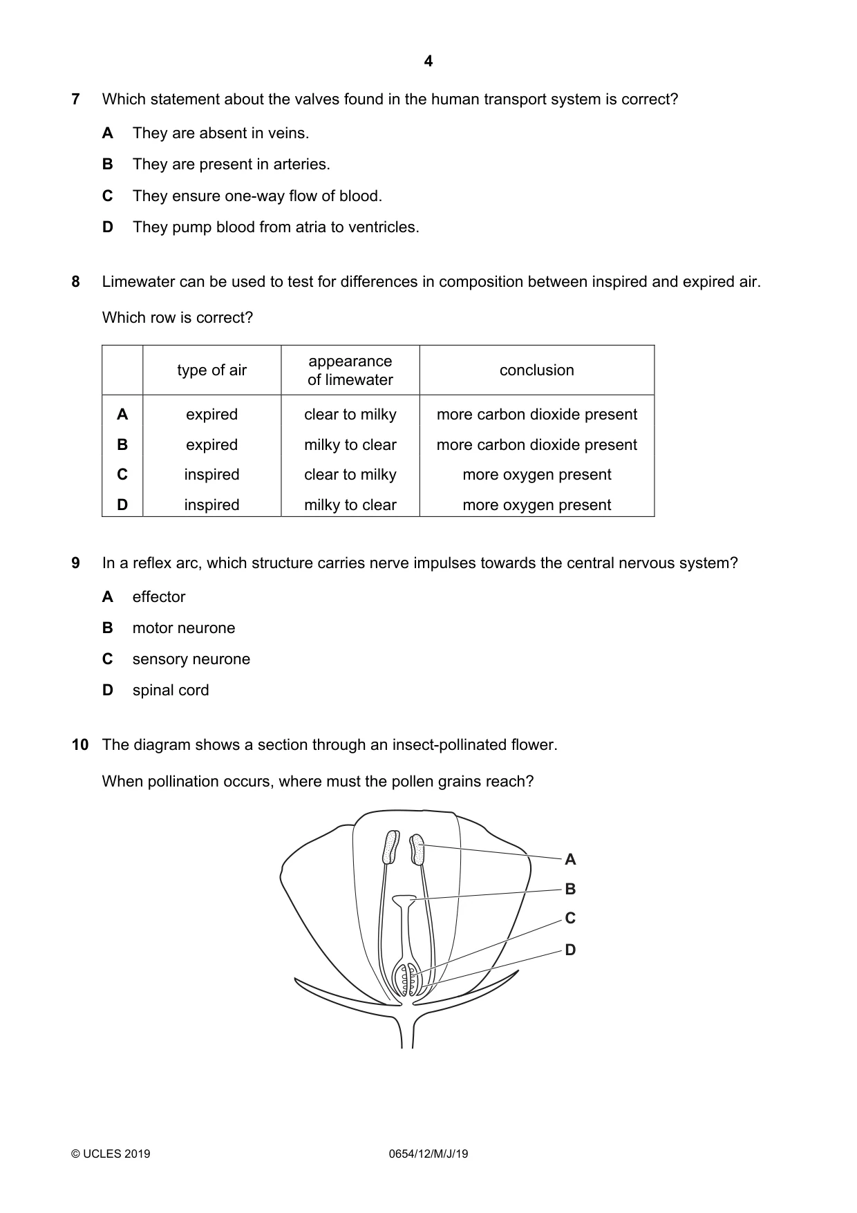 Cambridge IGCSE Sciences - Co-ordinated (Double) 0654 2019 May/June Paper 1 · Variant 2 question paper, page 4 of 16