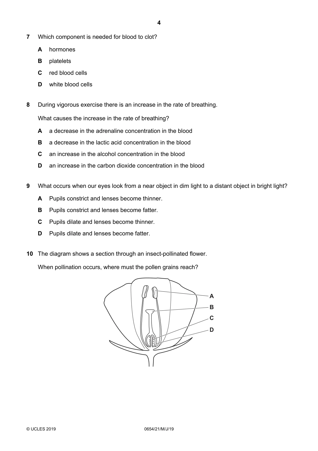 Cambridge IGCSE Sciences - Co-ordinated (Double) 0654 2019 May/June Paper 2 · Variant 1 question paper, page 4 of 16