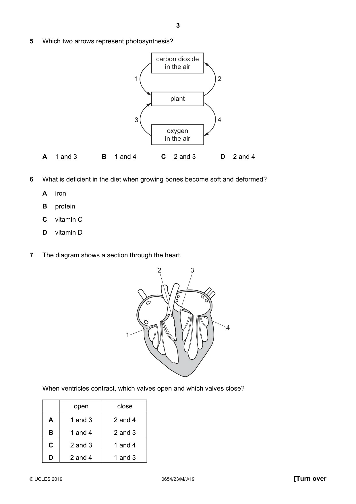 Cambridge IGCSE Sciences - Co-ordinated (Double) 0654 2019 May/June Paper 2 · Variant 3 question paper, page 3 of 16