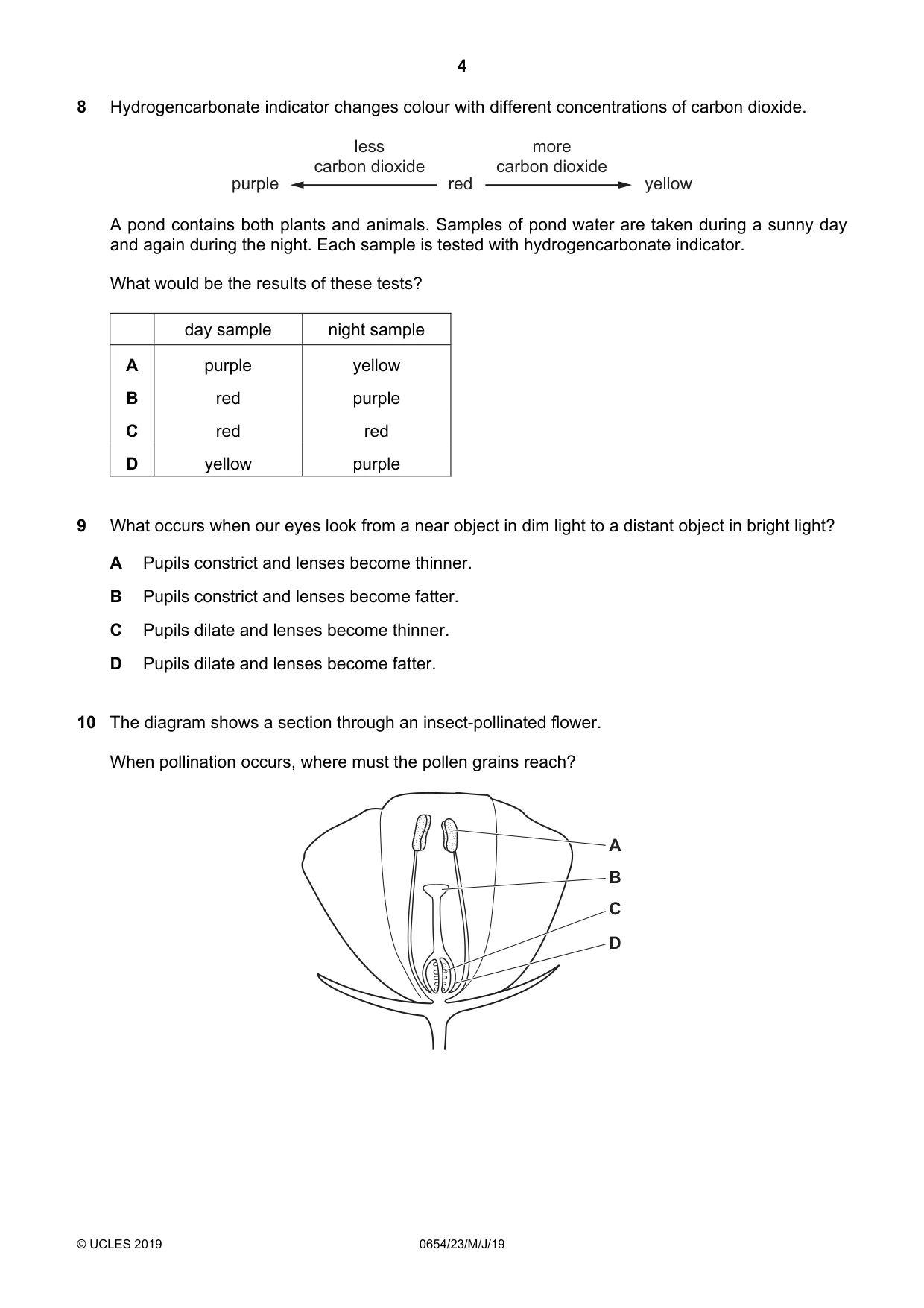 Cambridge IGCSE Sciences - Co-ordinated (Double) 0654 2019 May/June Paper 2 · Variant 3 question paper, page 4 of 16