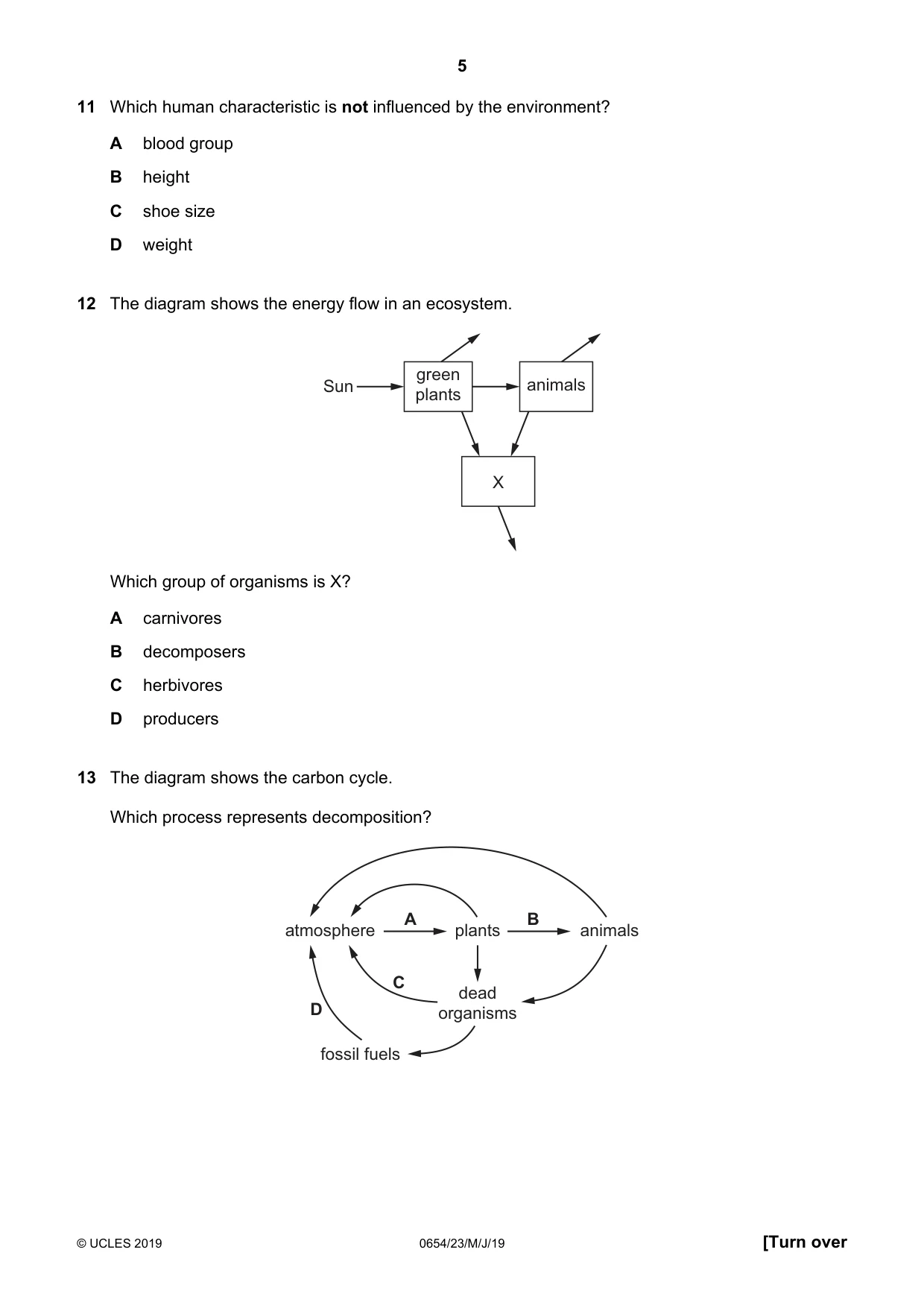 Cambridge IGCSE Sciences - Co-ordinated (Double) 0654 2019 May/June Paper 2 · Variant 3 question paper, page 5 of 16