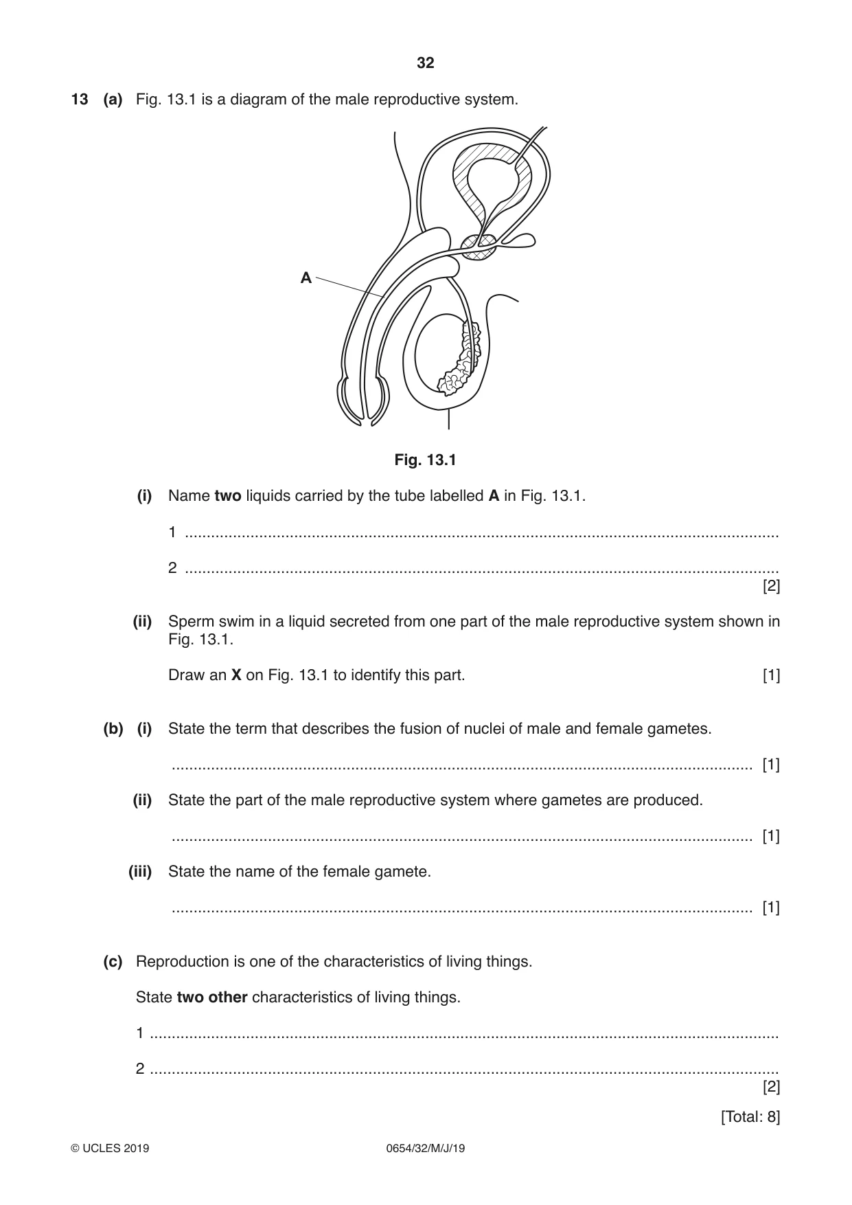 Cambridge IGCSE Sciences - Co-ordinated (Double) 0654 2019 May/June Paper 3 · Variant 2 question paper, page 32 of 36