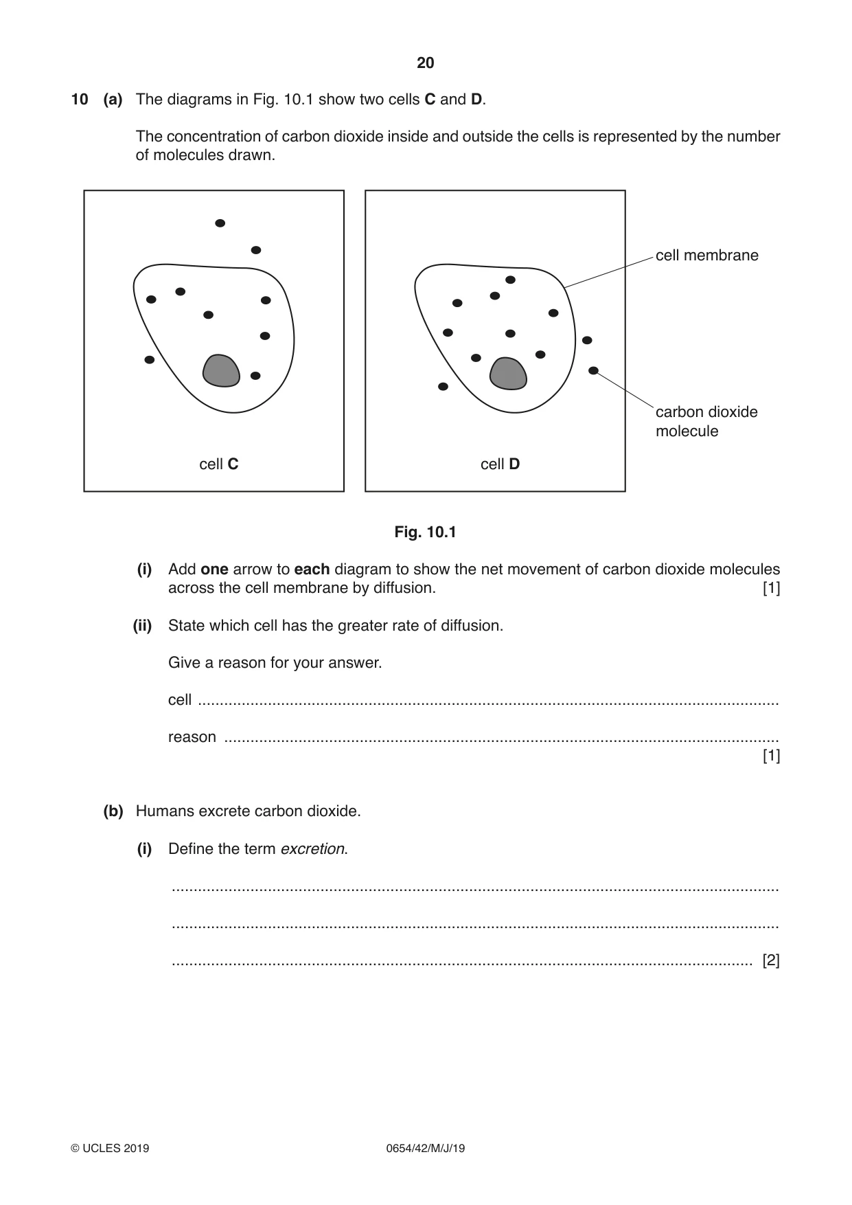 Cambridge IGCSE Sciences - Co-ordinated (Double) 0654 2019 May/June Paper 4 · Variant 2 question paper, page 20 of 28