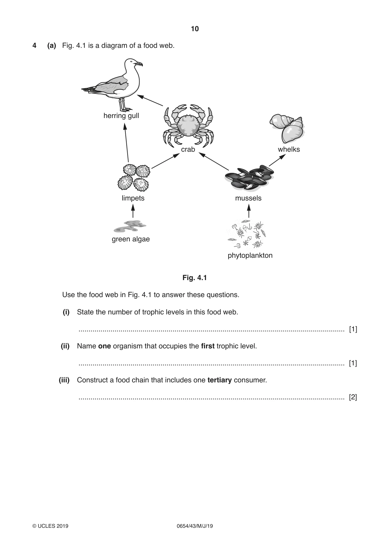 Cambridge IGCSE Sciences - Co-ordinated (Double) 0654 2019 May/June Paper 4 · Variant 3 question paper, page 10 of 32