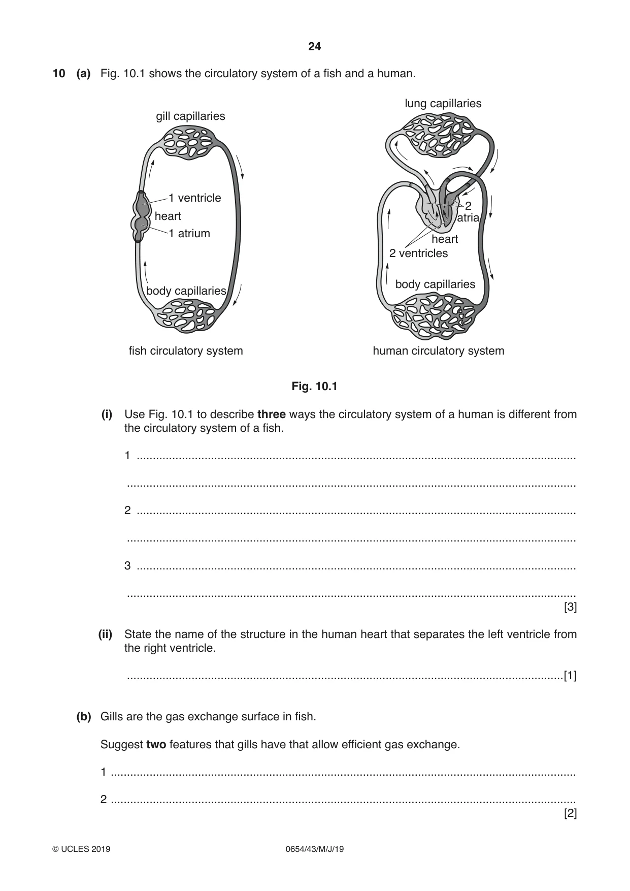Cambridge IGCSE Sciences - Co-ordinated (Double) 0654 2019 May/June Paper 4 · Variant 3 question paper, page 24 of 32
