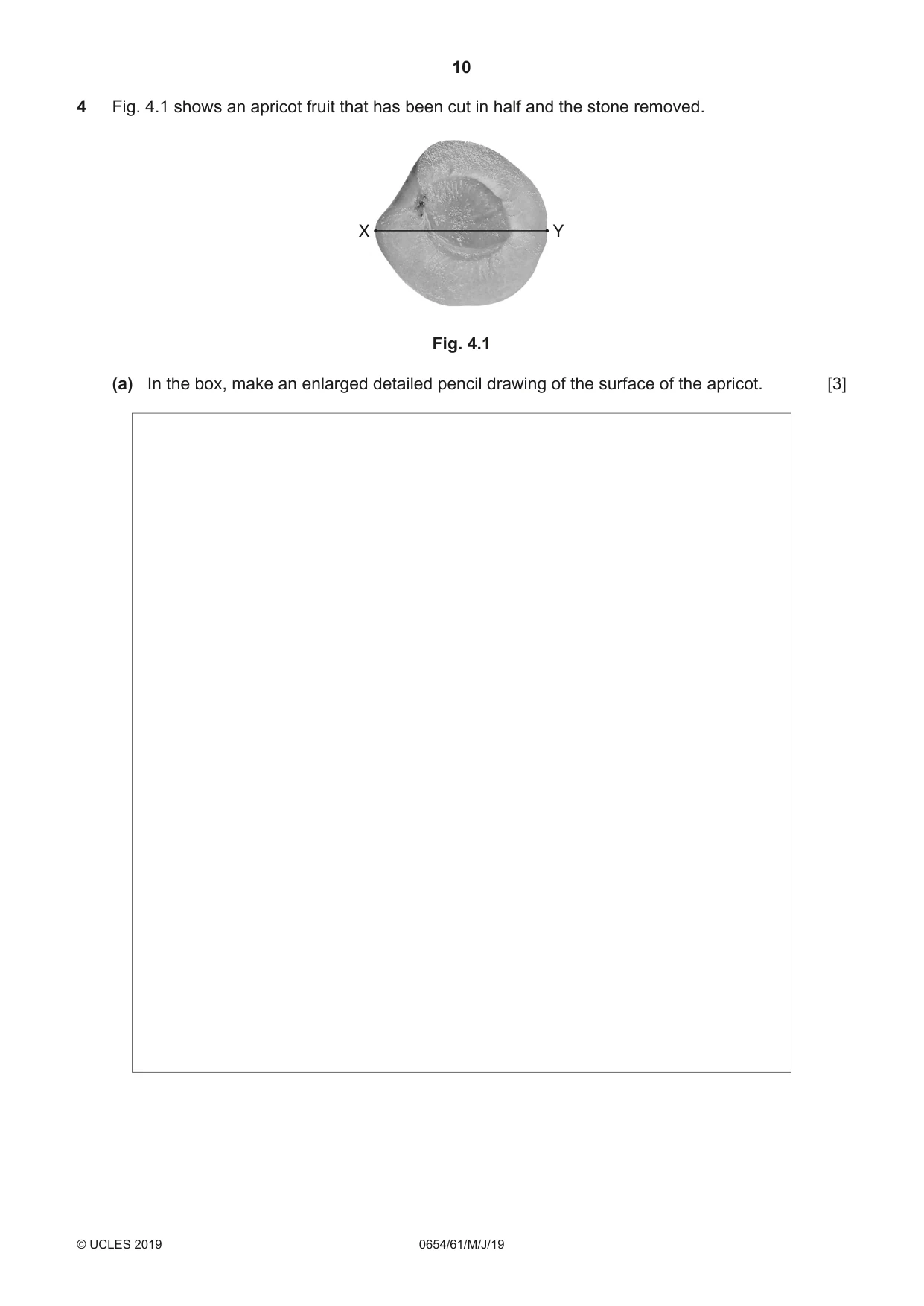 Cambridge IGCSE Sciences - Co-ordinated (Double) 0654 2019 May/June Paper 6 · Variant 1 question paper, page 10 of 20